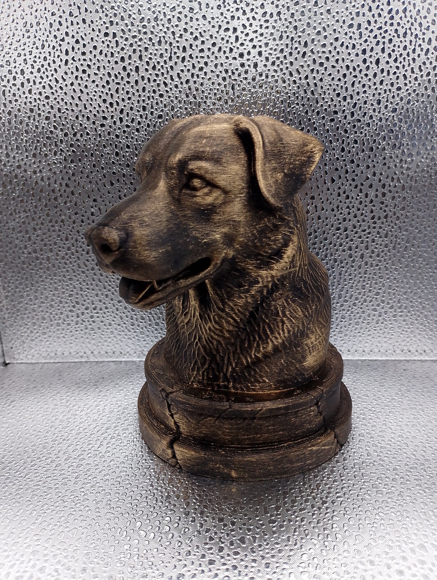 Chinook Bust