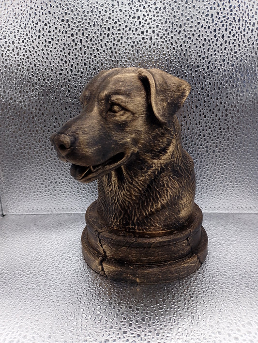 Chinook Bust