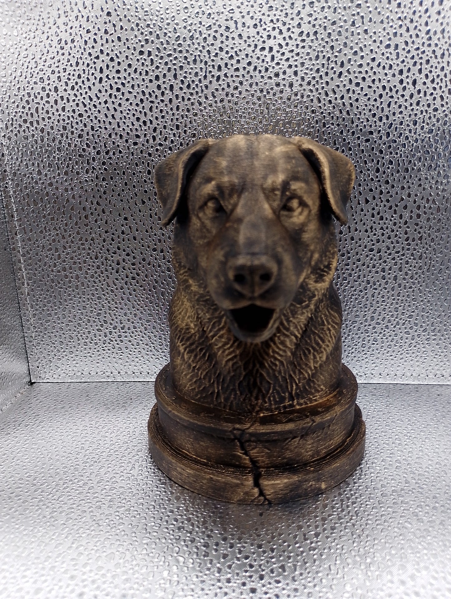 Chinook Bust