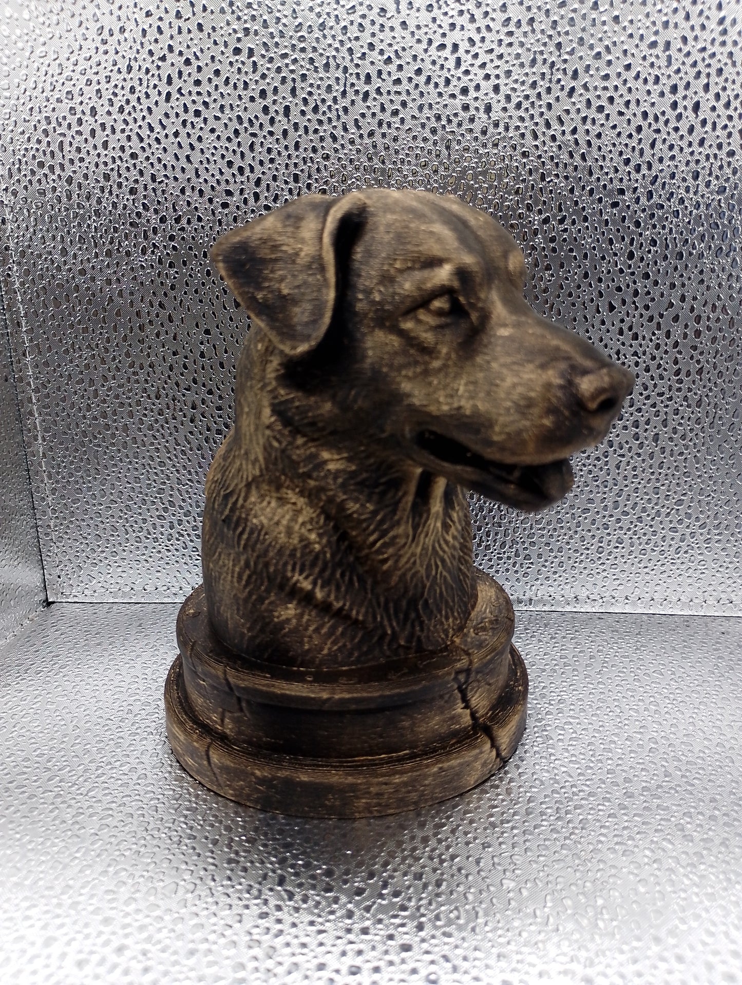 Chinook Bust