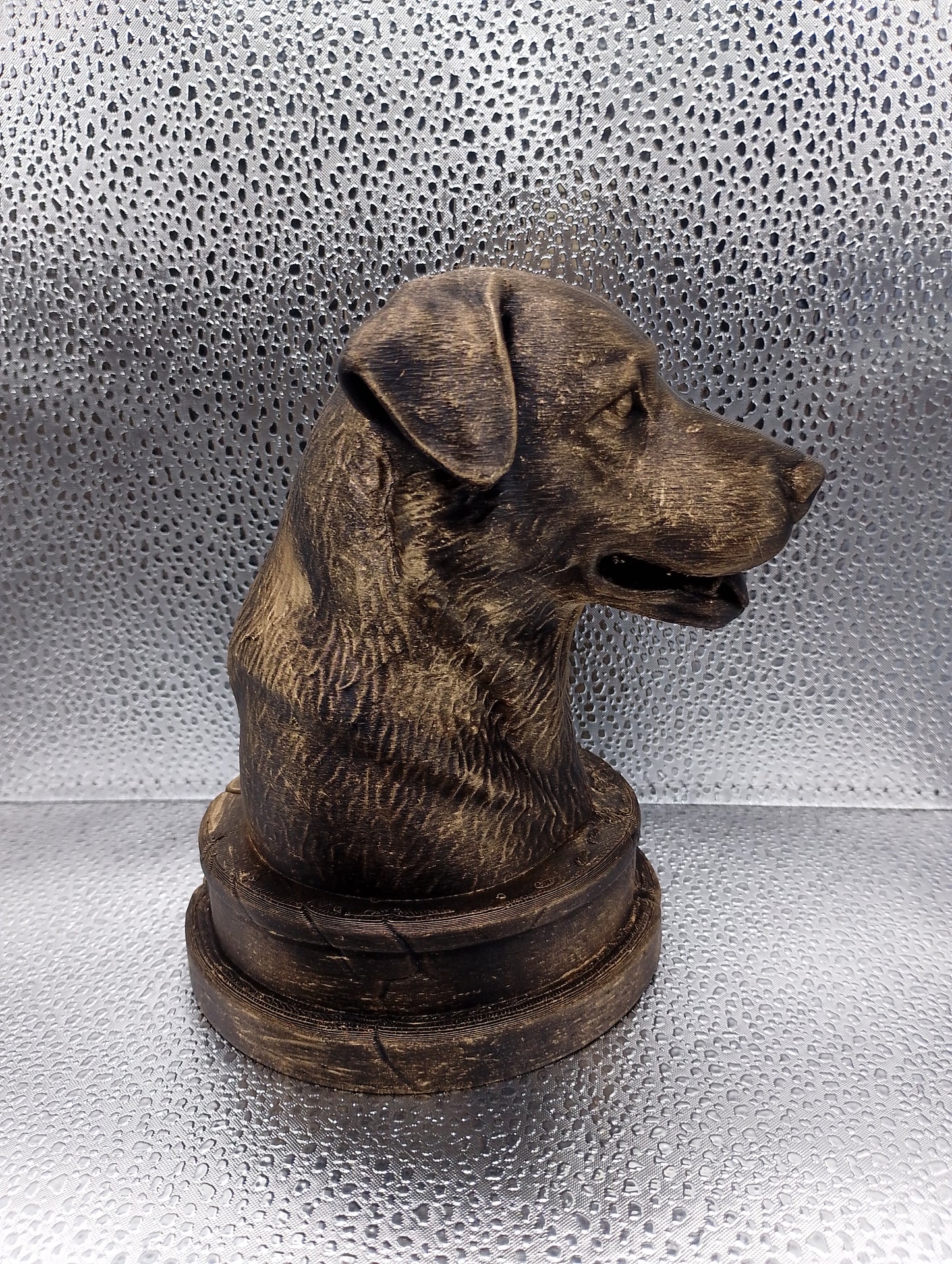 Chinook Bust