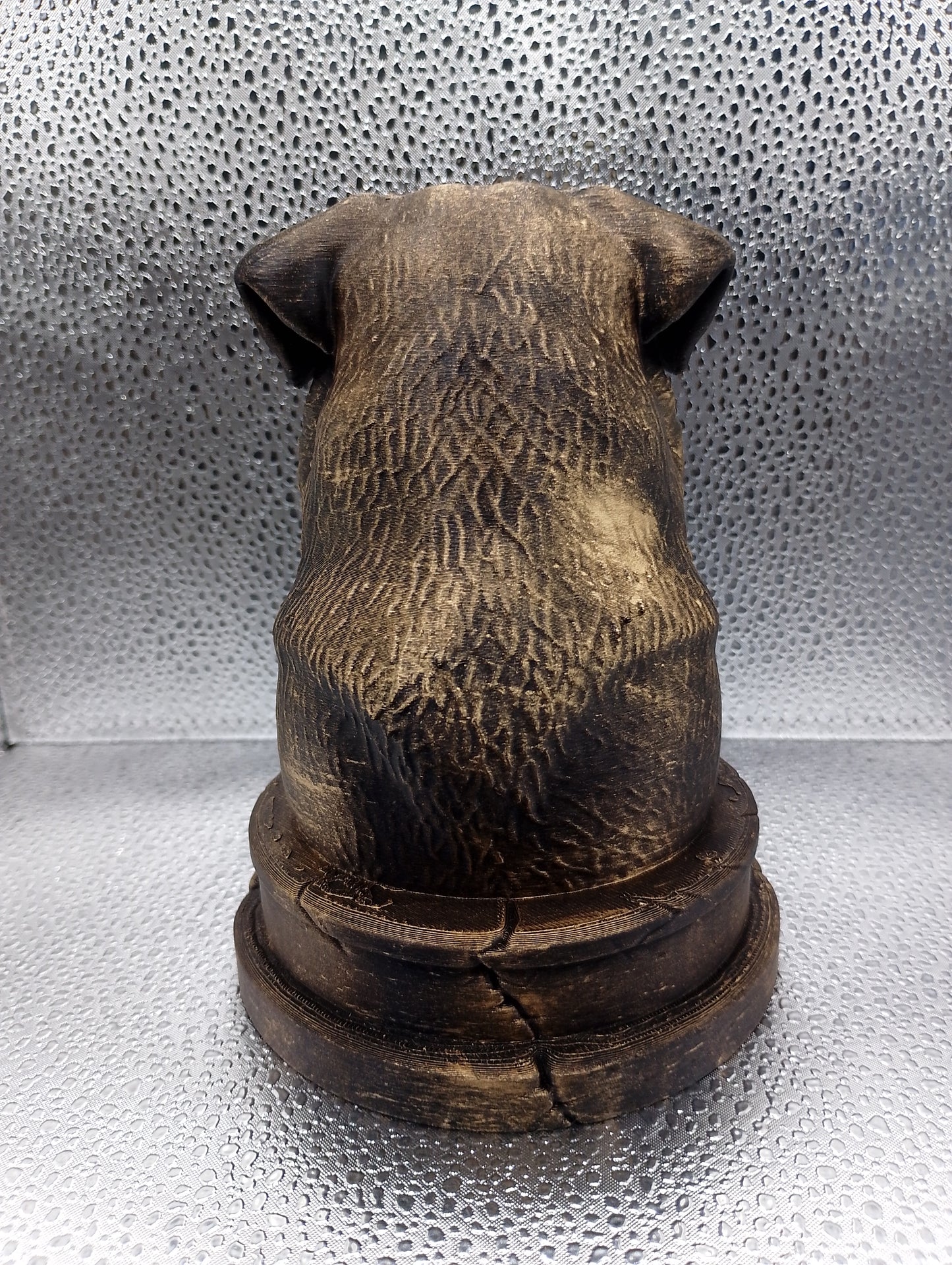 Chinook Bust