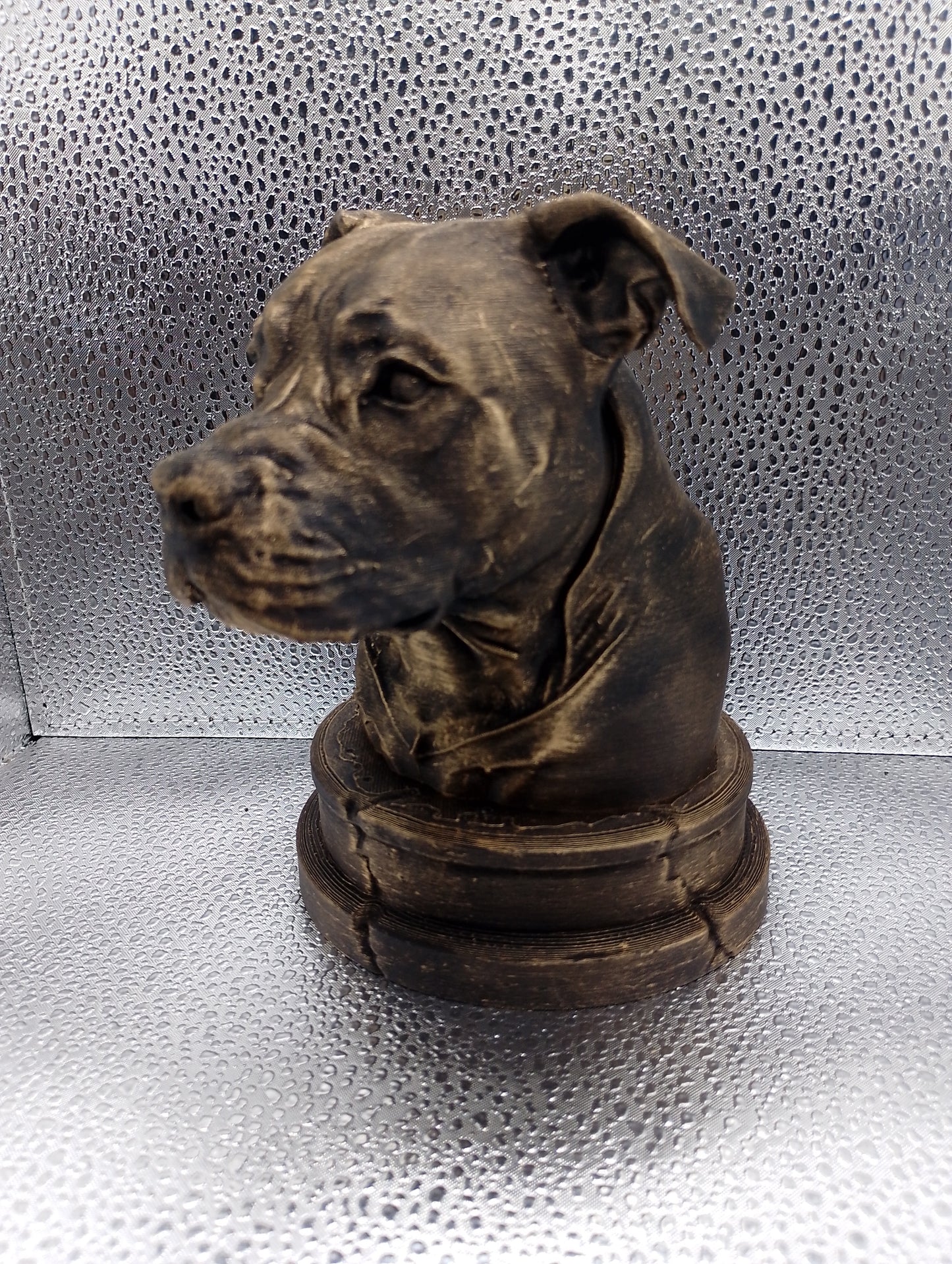 Pit Bull Bust