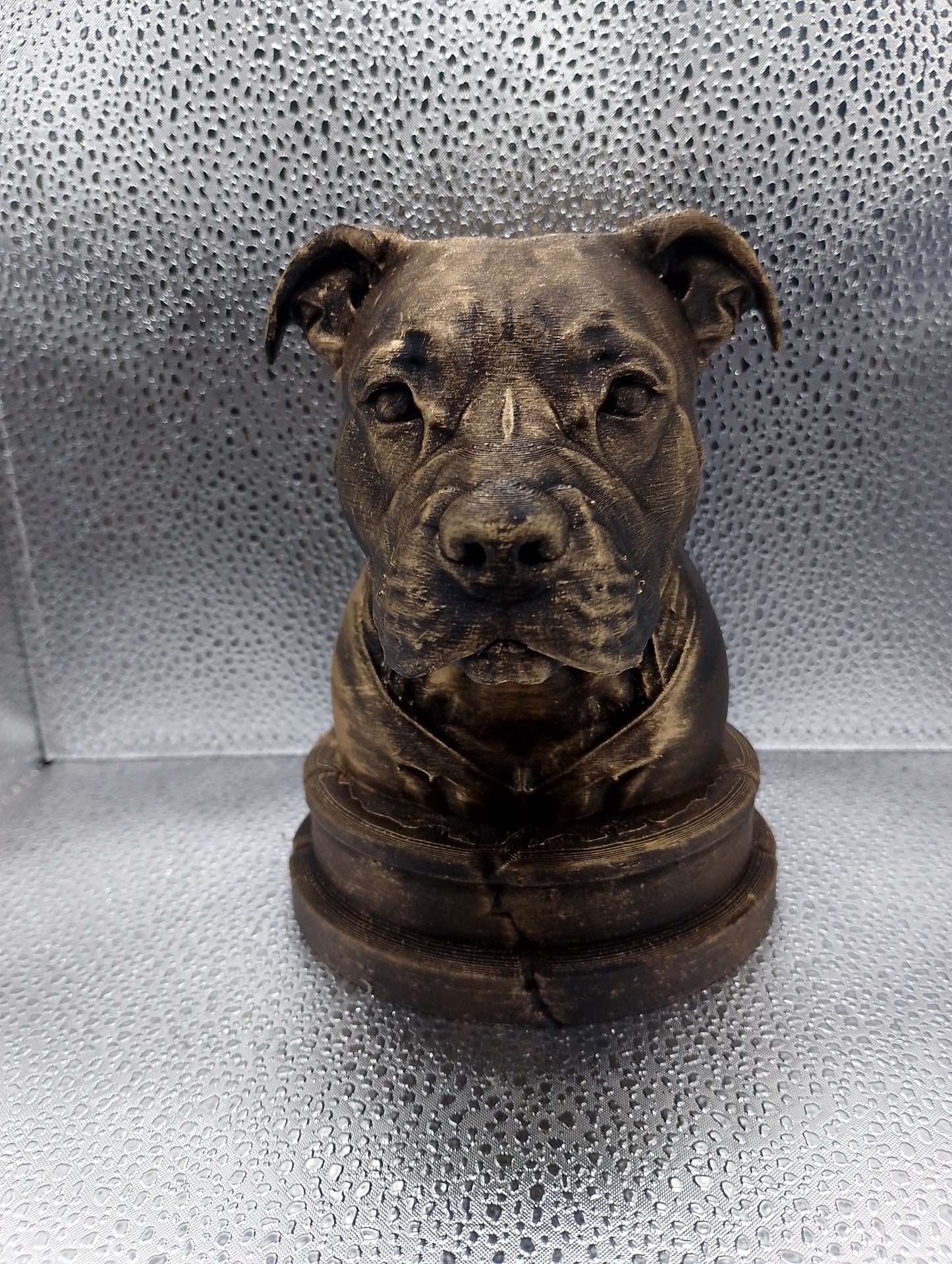 Pit Bull Bust