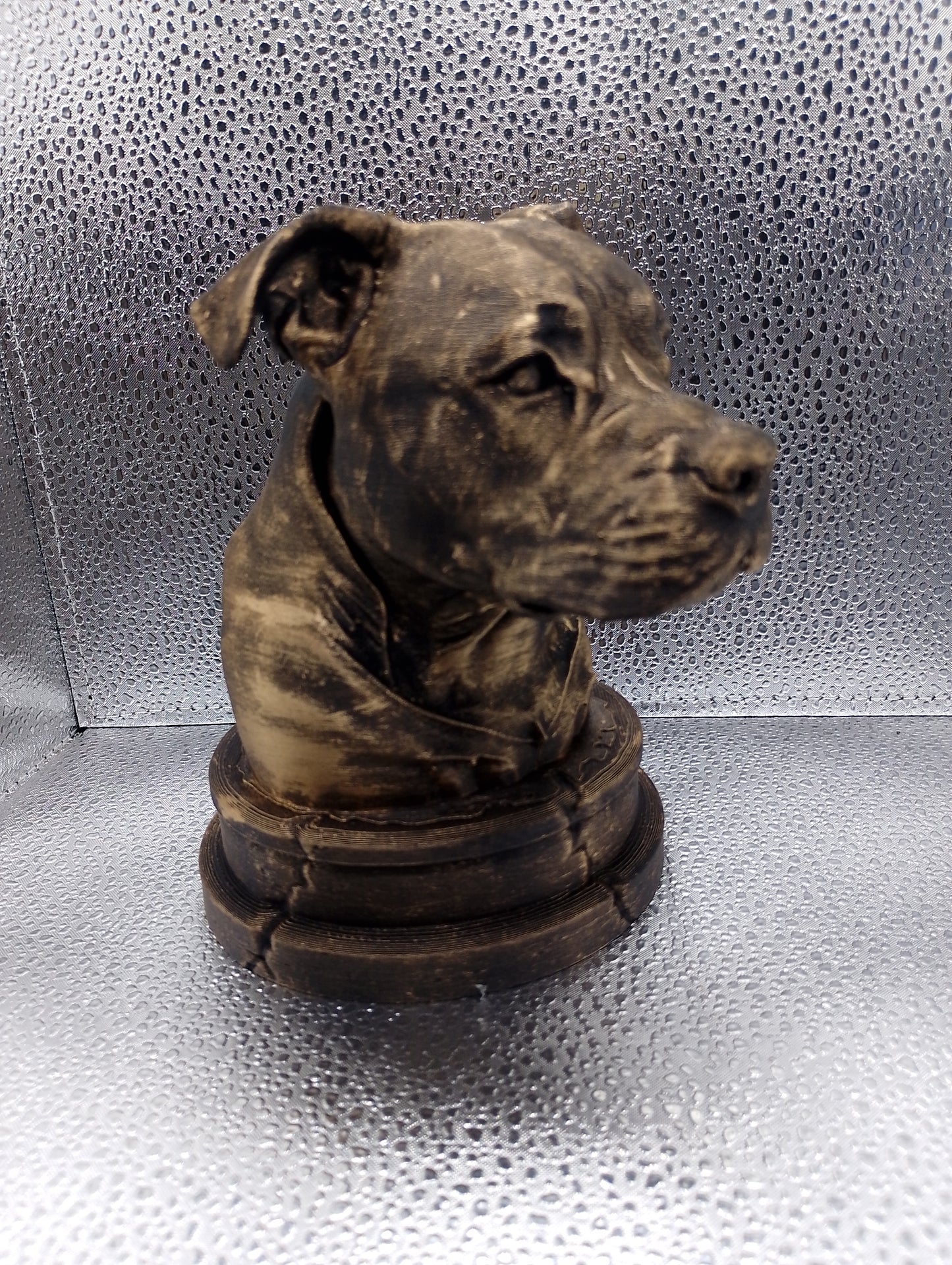 Pit Bull Bust