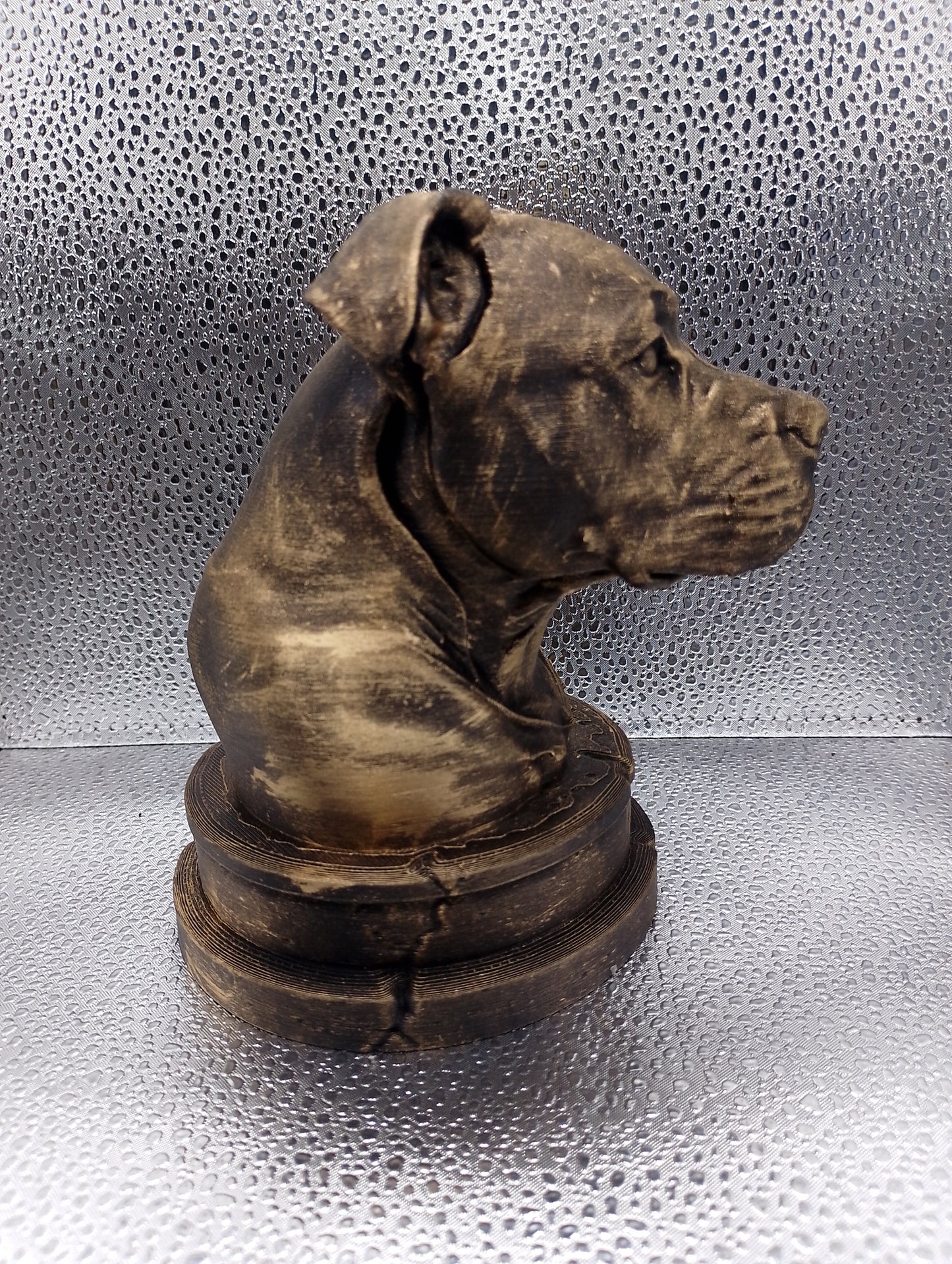 Pit Bull Bust