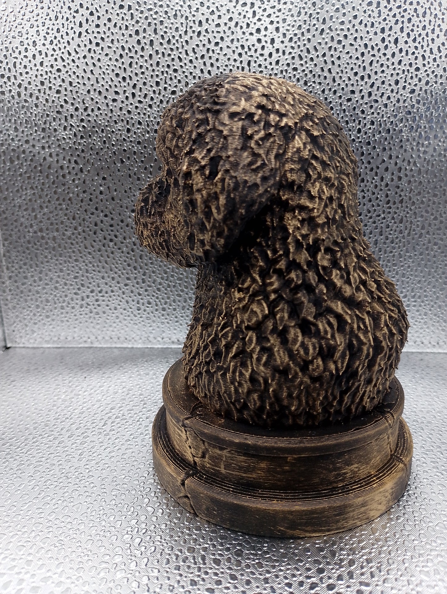 Spanish Water Dog Bust