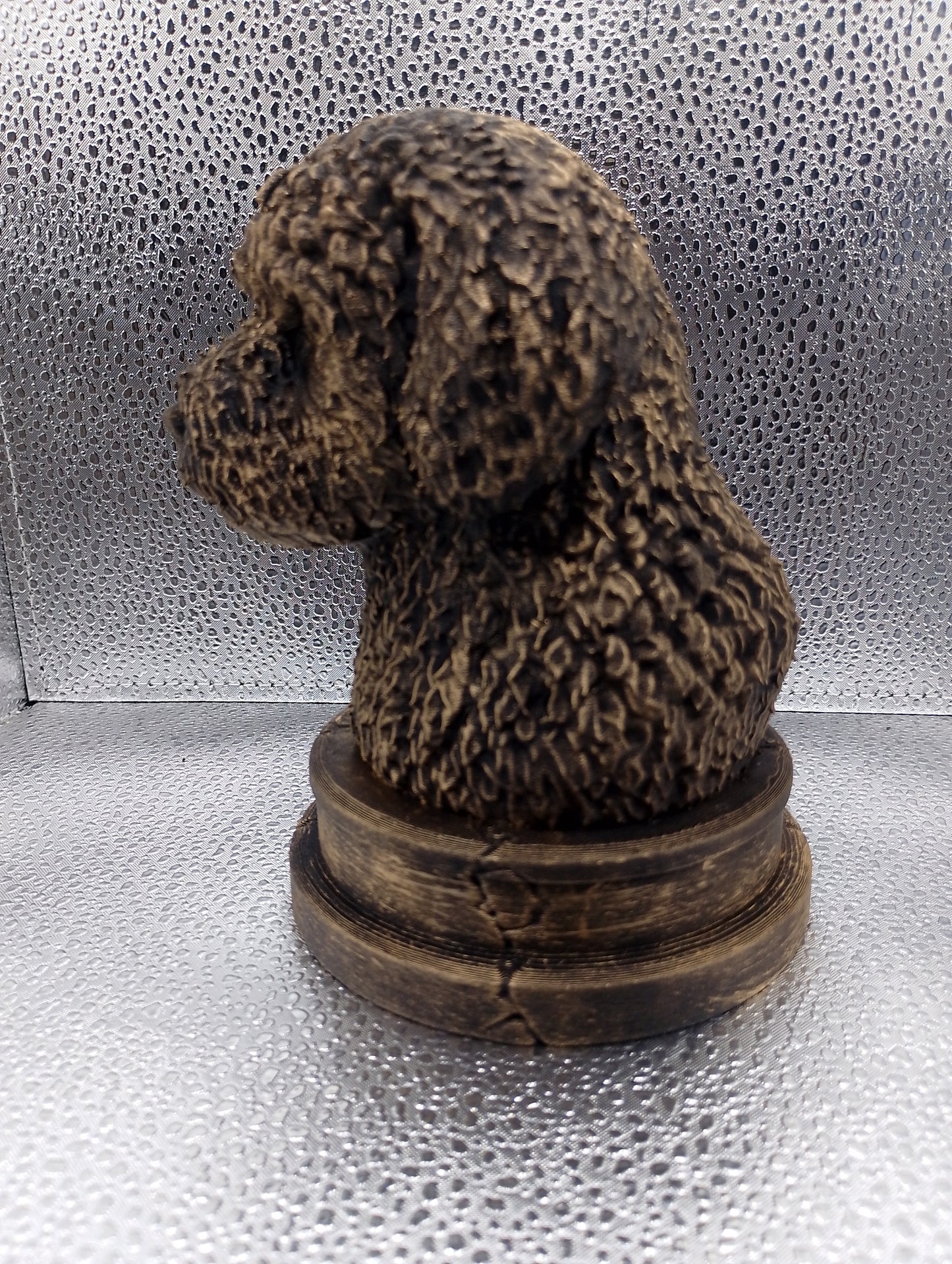 Spanish Water Dog Bust