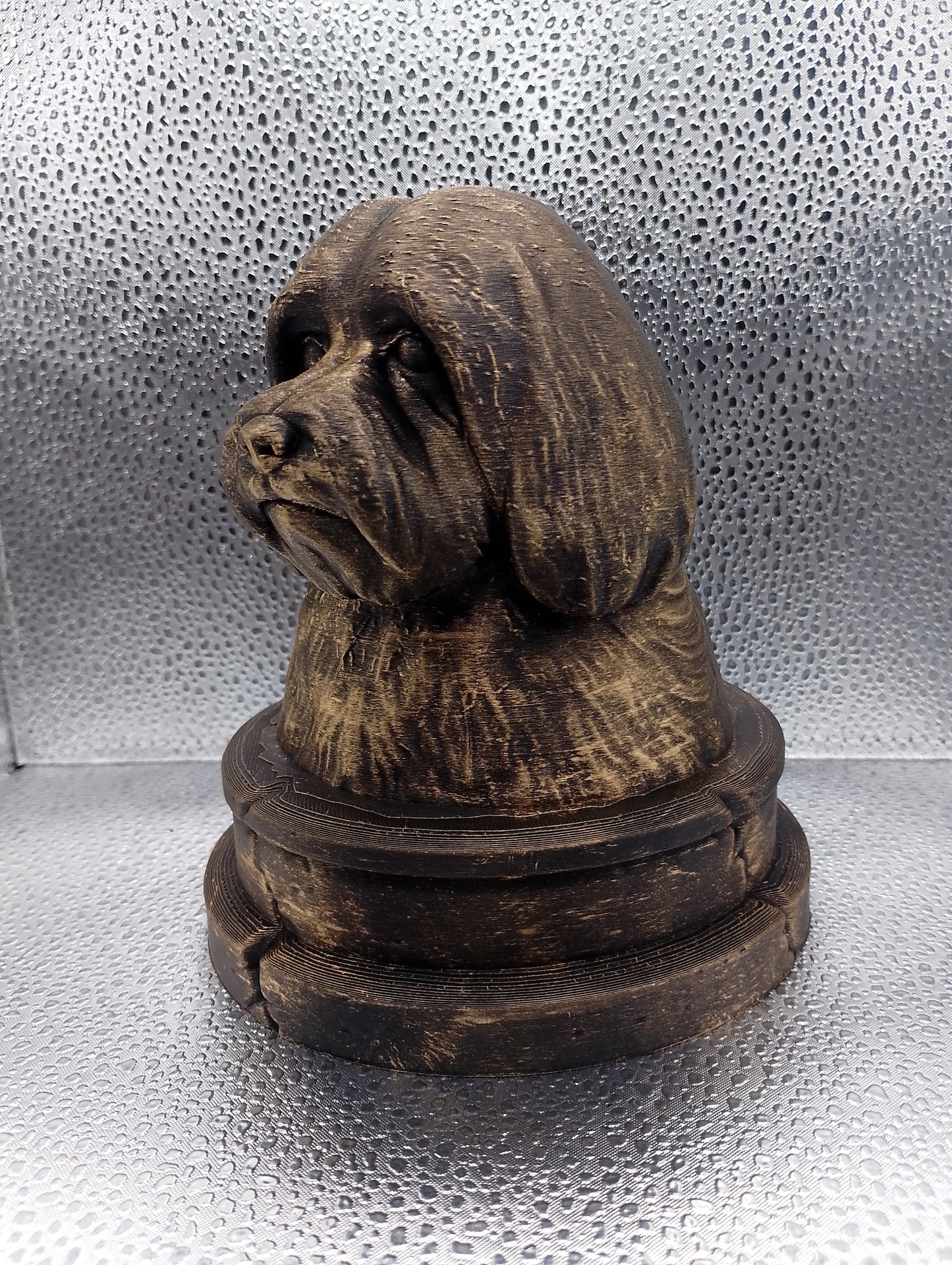 Coton de Tulear Bust