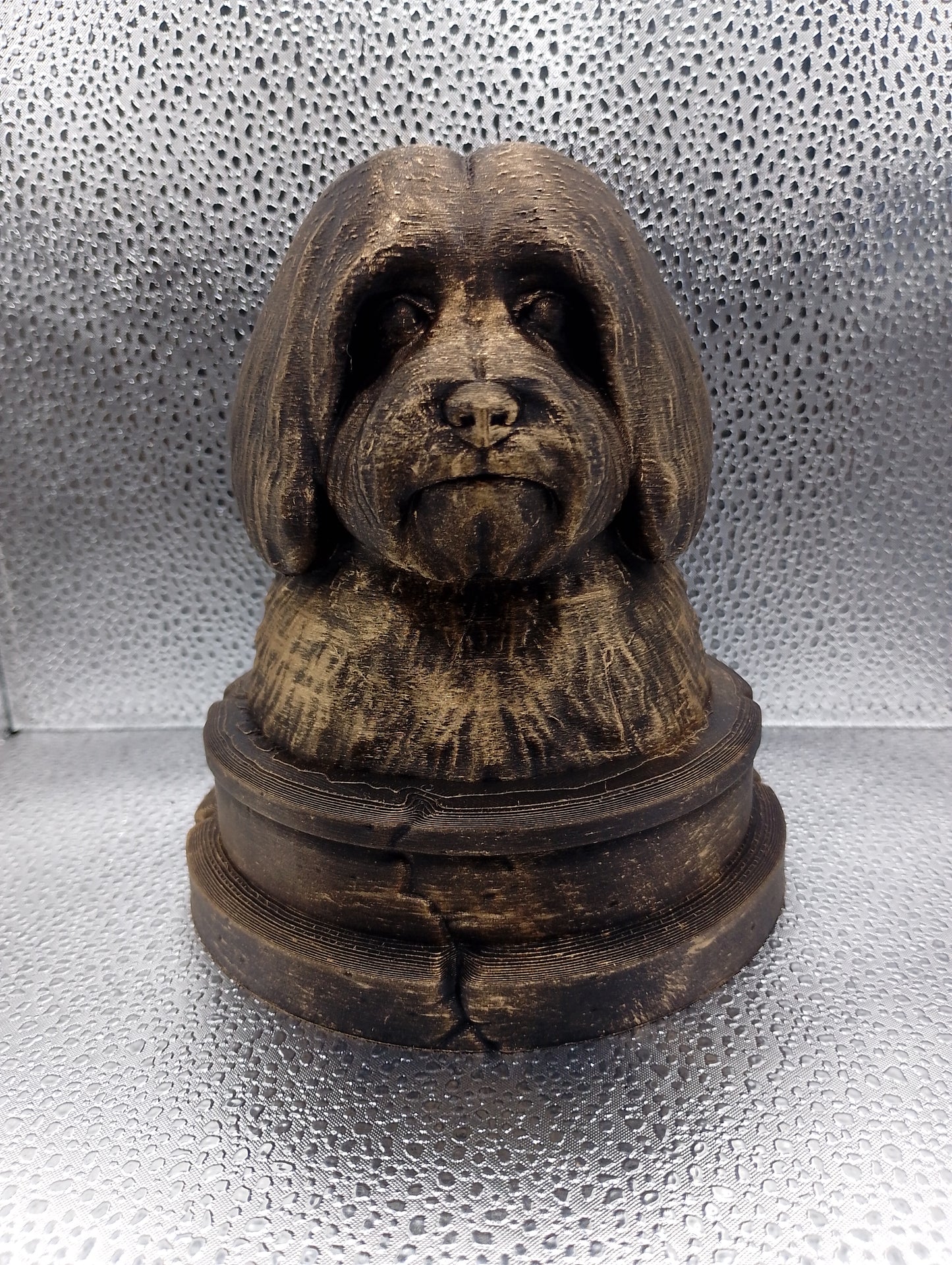 Coton de Tulear Bust