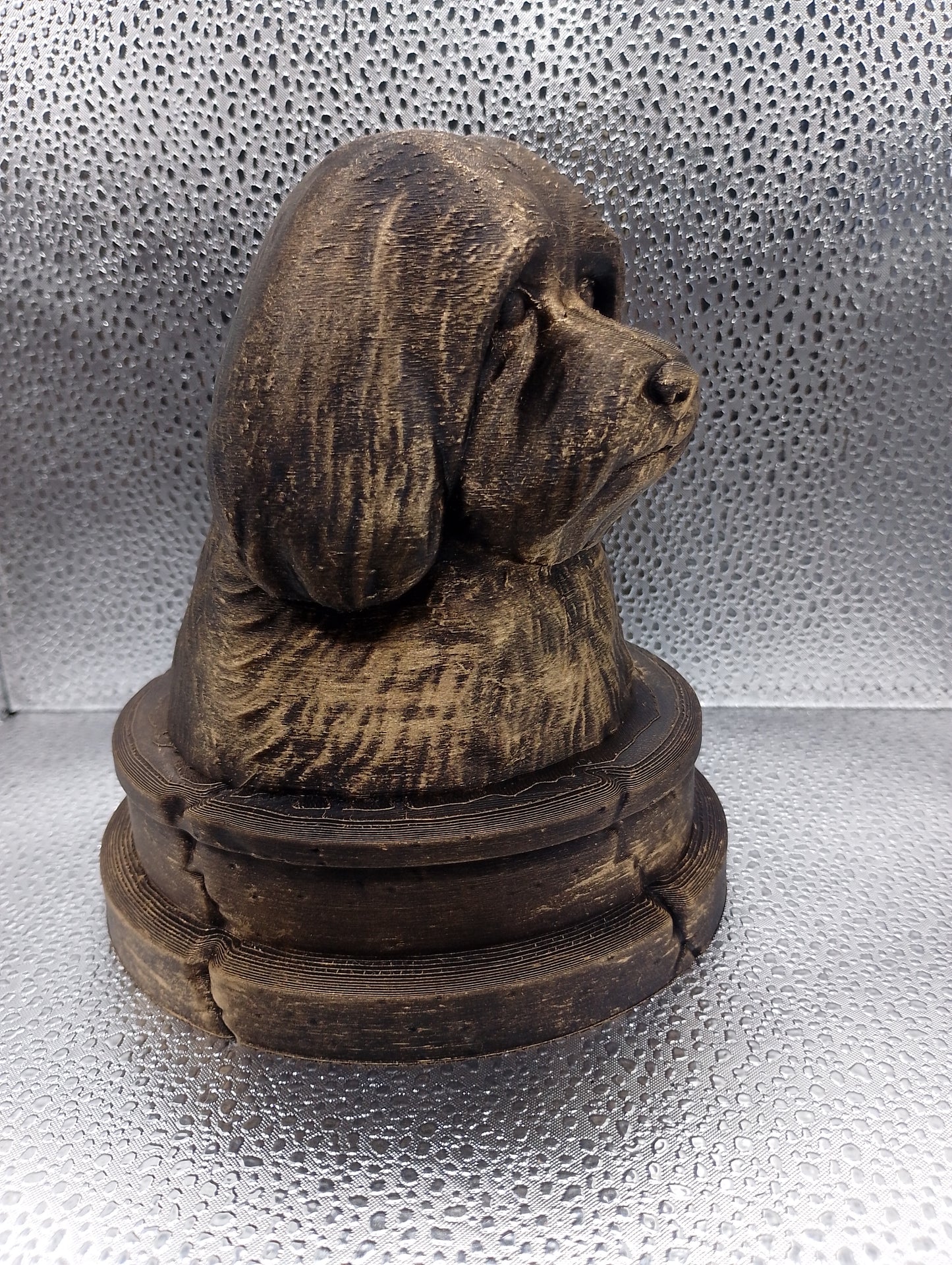 Coton de Tulear Bust