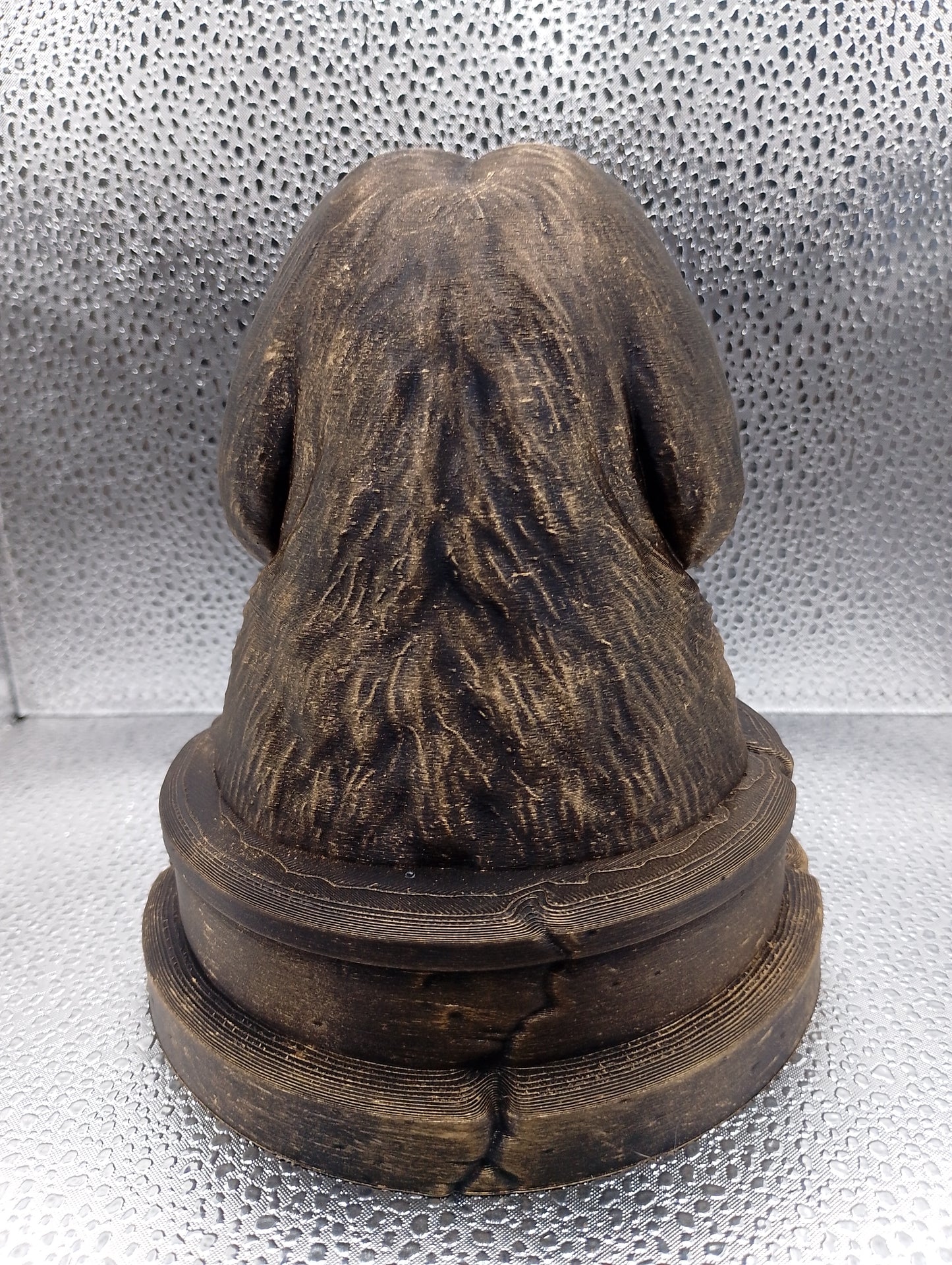 Coton de Tulear Bust