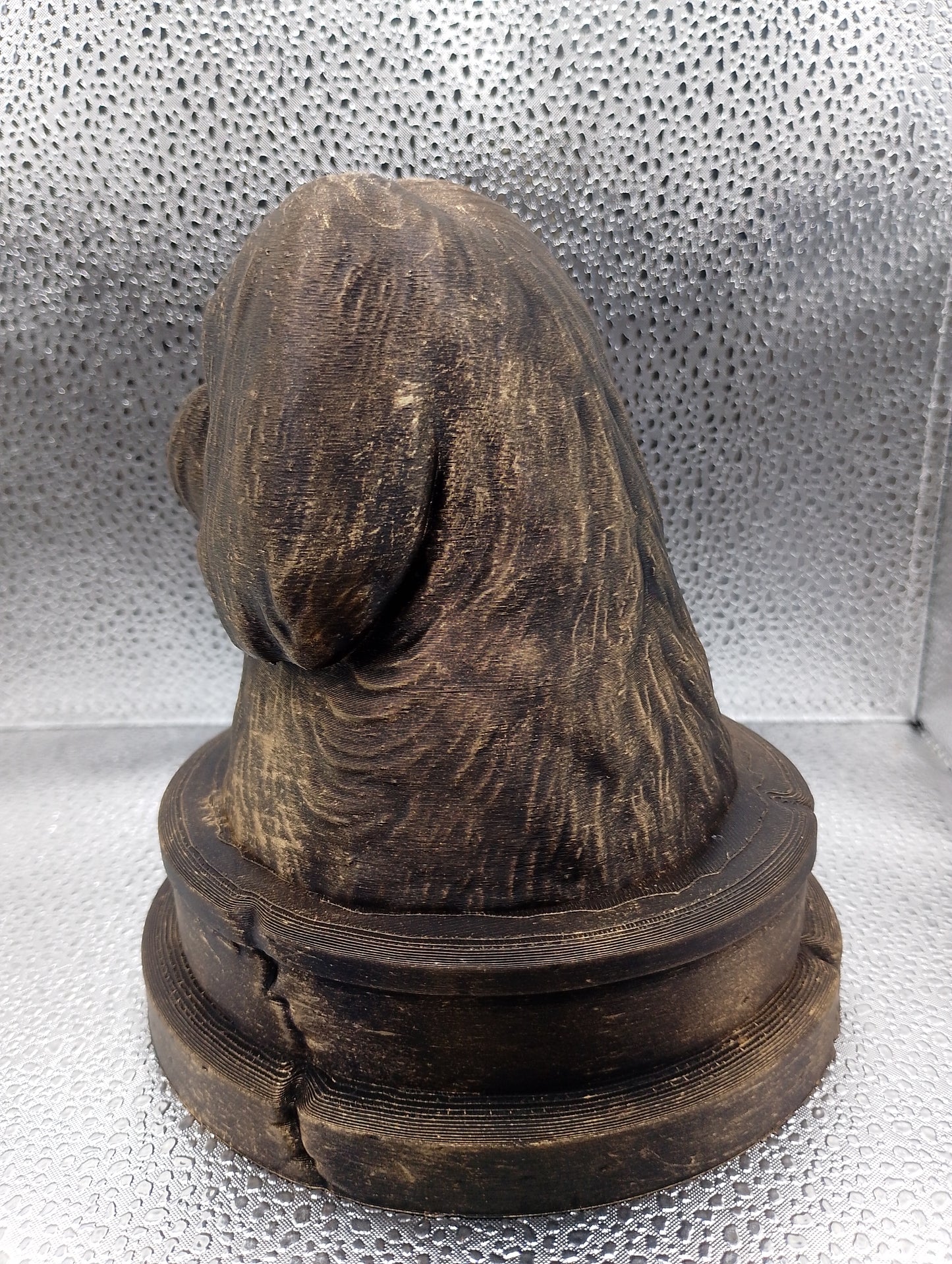 Coton de Tulear Bust
