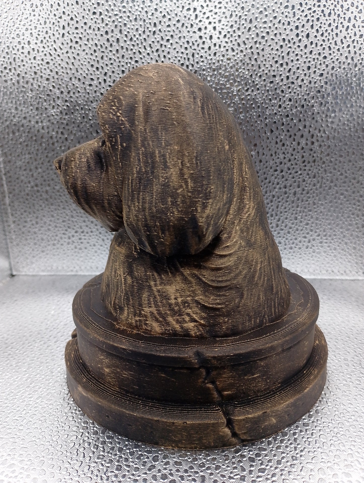Coton de Tulear Bust