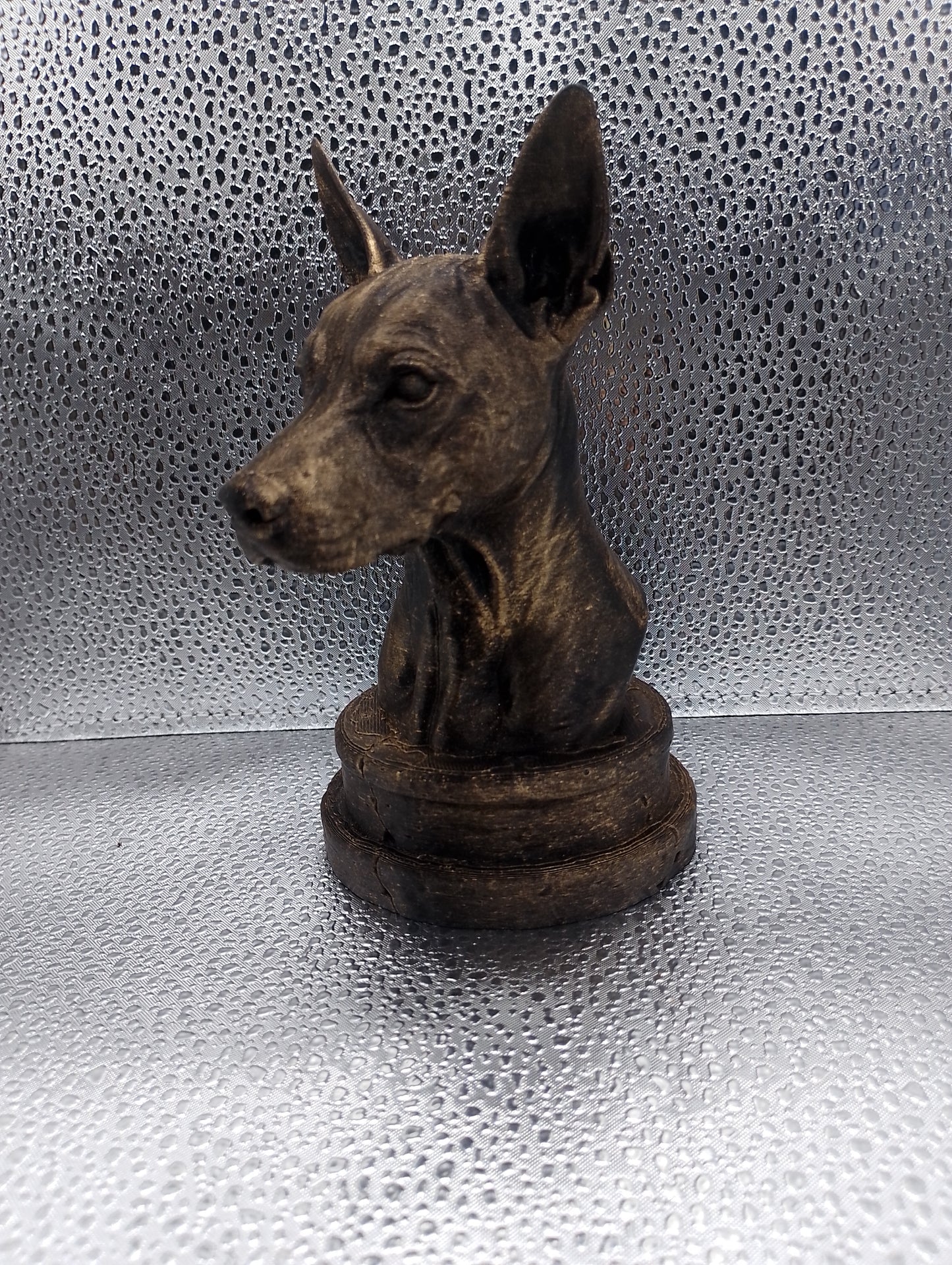 Xoloitzcuintle Bust