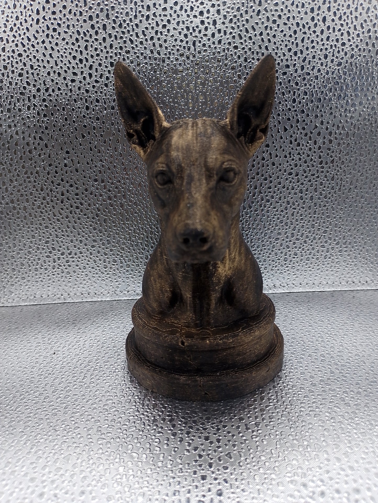 Xoloitzcuintle Bust