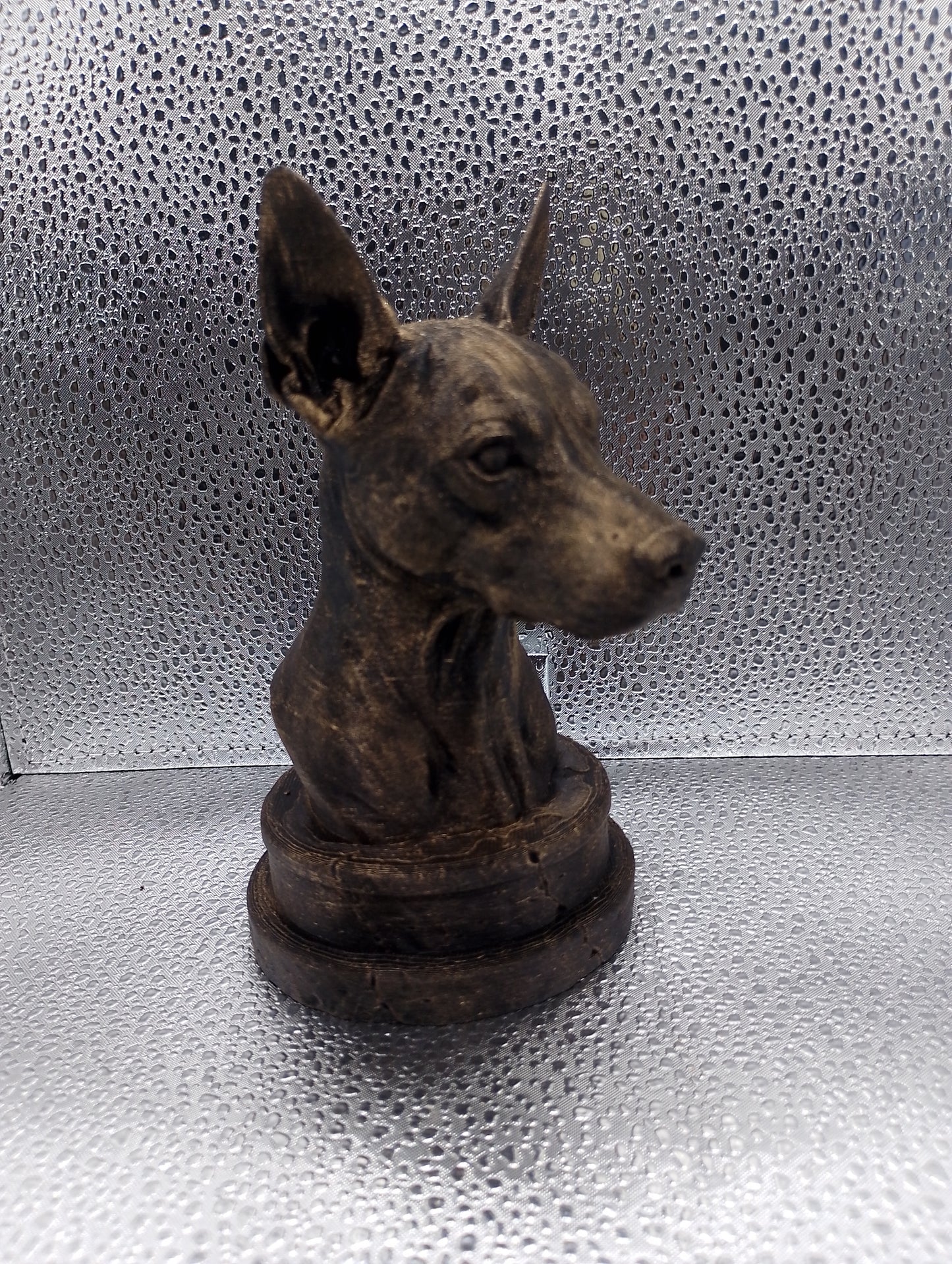 Xoloitzcuintle Bust