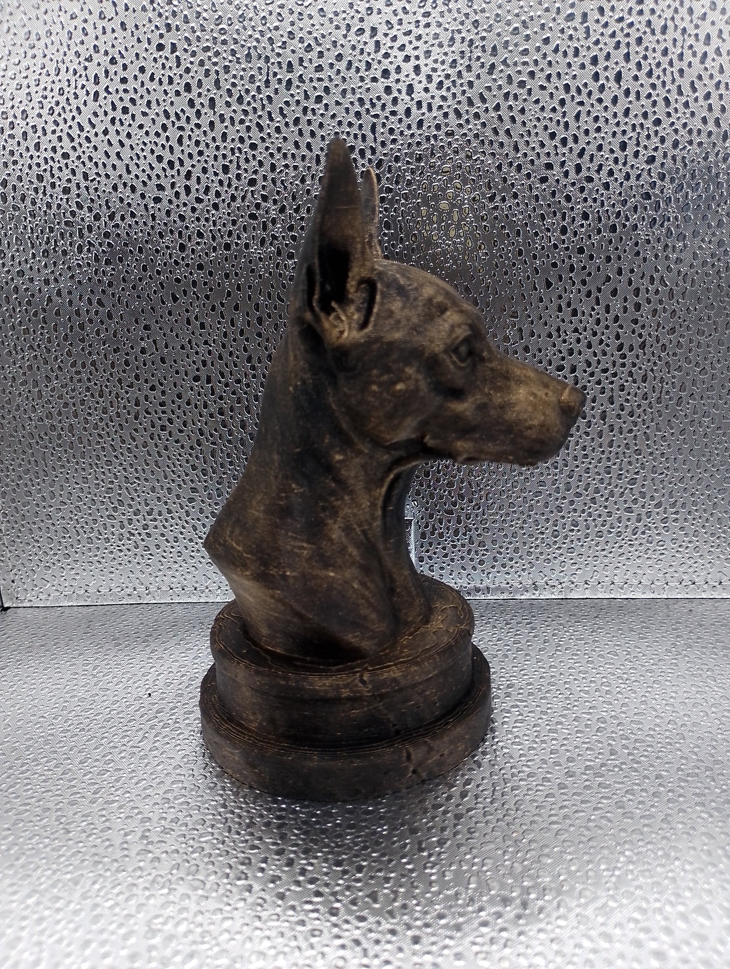 Xoloitzcuintle Bust