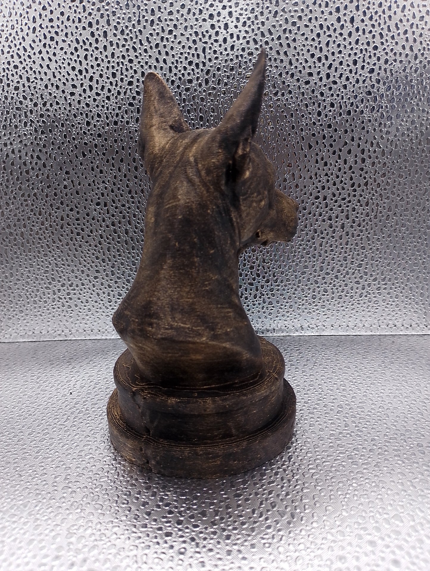Xoloitzcuintle Bust