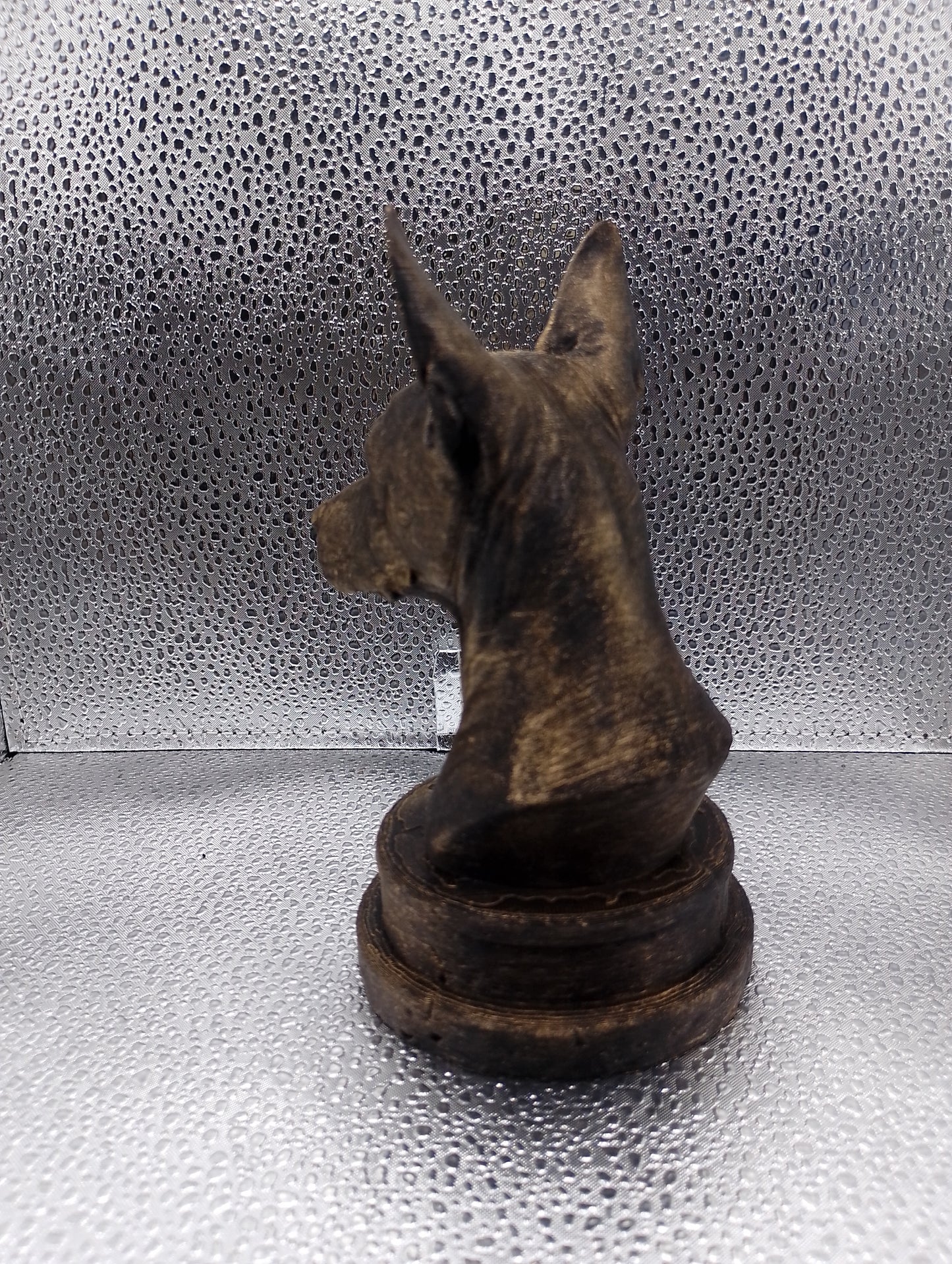 Xoloitzcuintle Bust