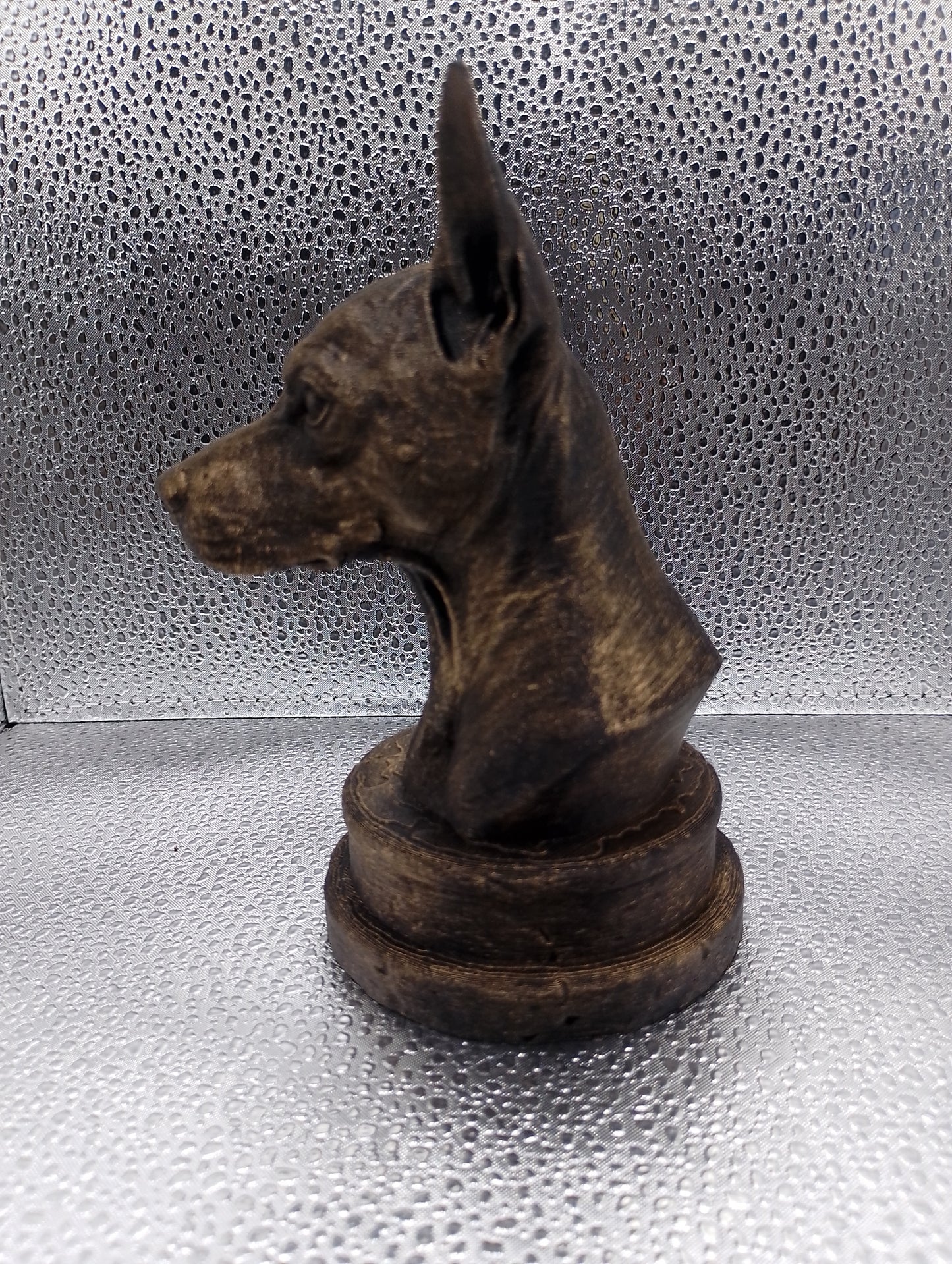 Xoloitzcuintle Bust