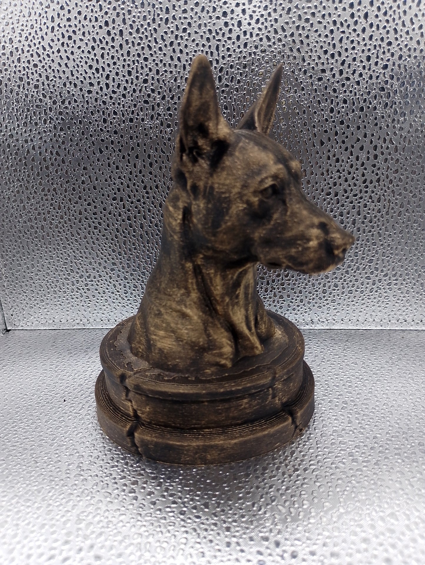 Basenji Bust