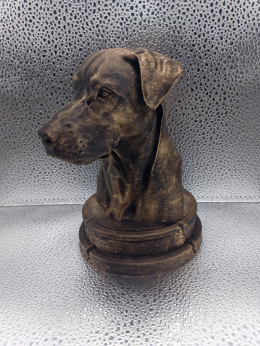 Blue Lacy Dog Bust