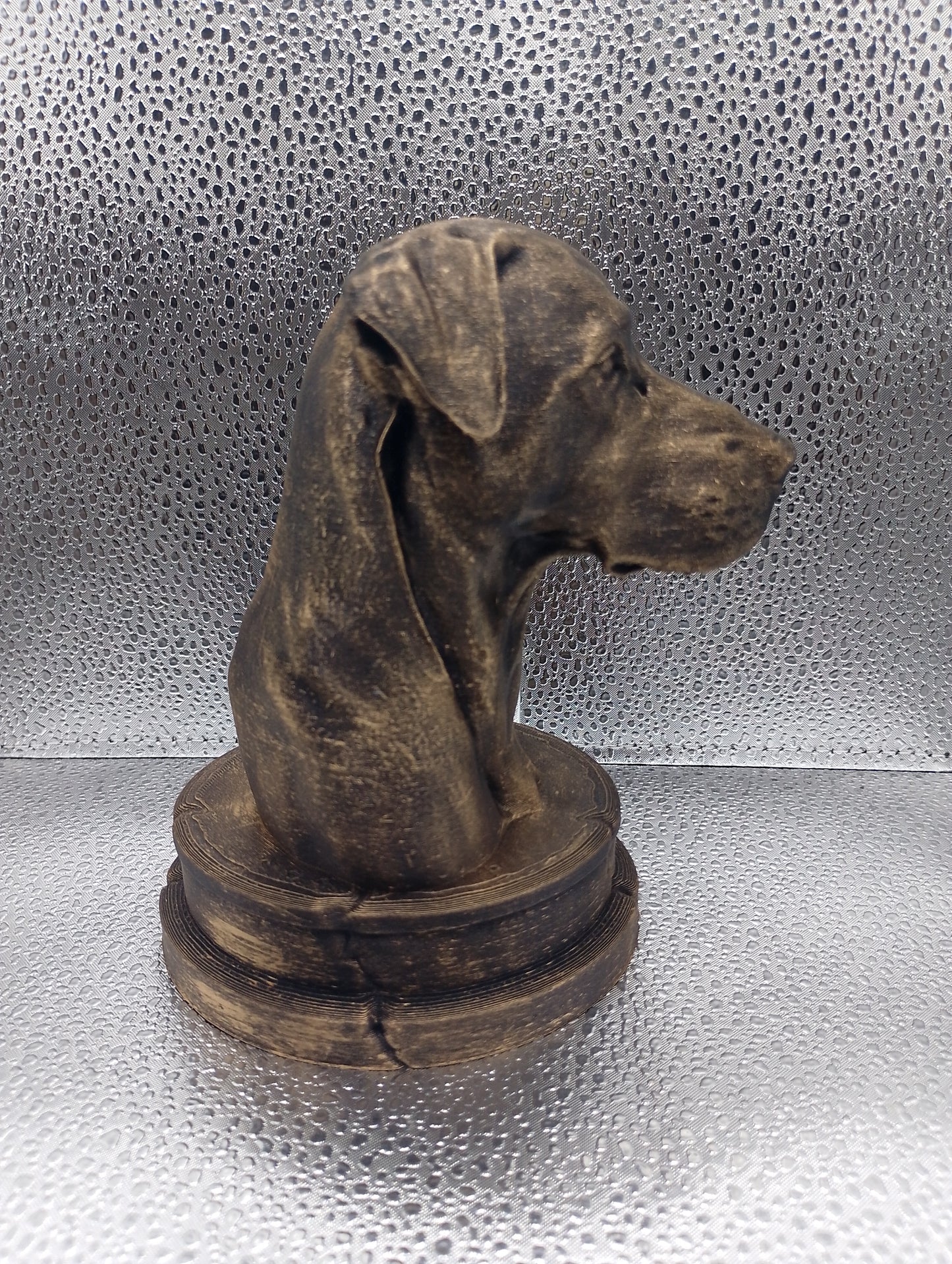 Blue Lacy Dog Bust