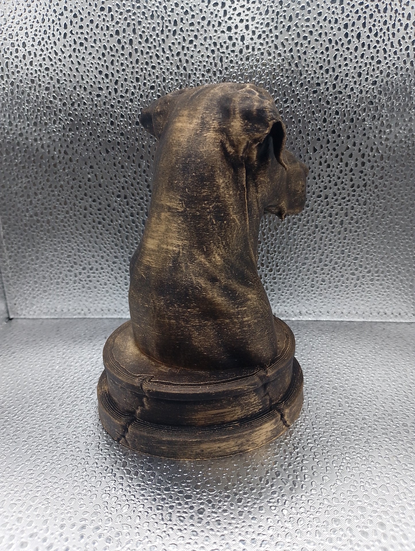 Blue Lacy Dog Bust