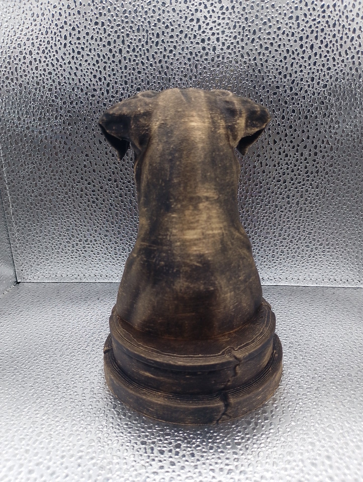 Blue Lacy Dog Bust