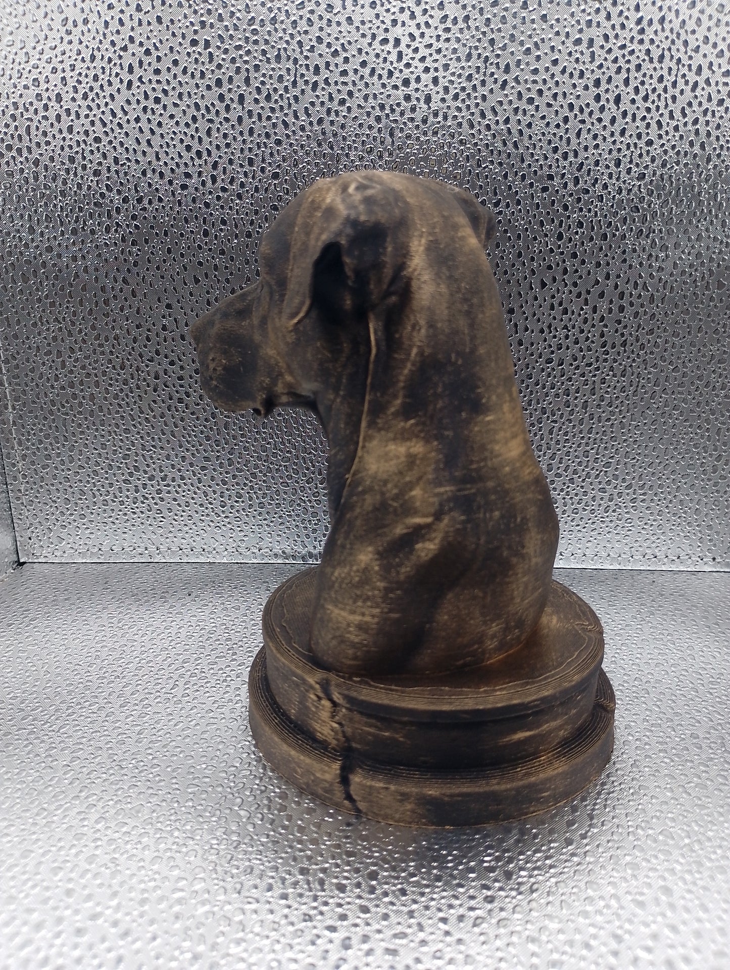 Blue Lacy Dog Bust