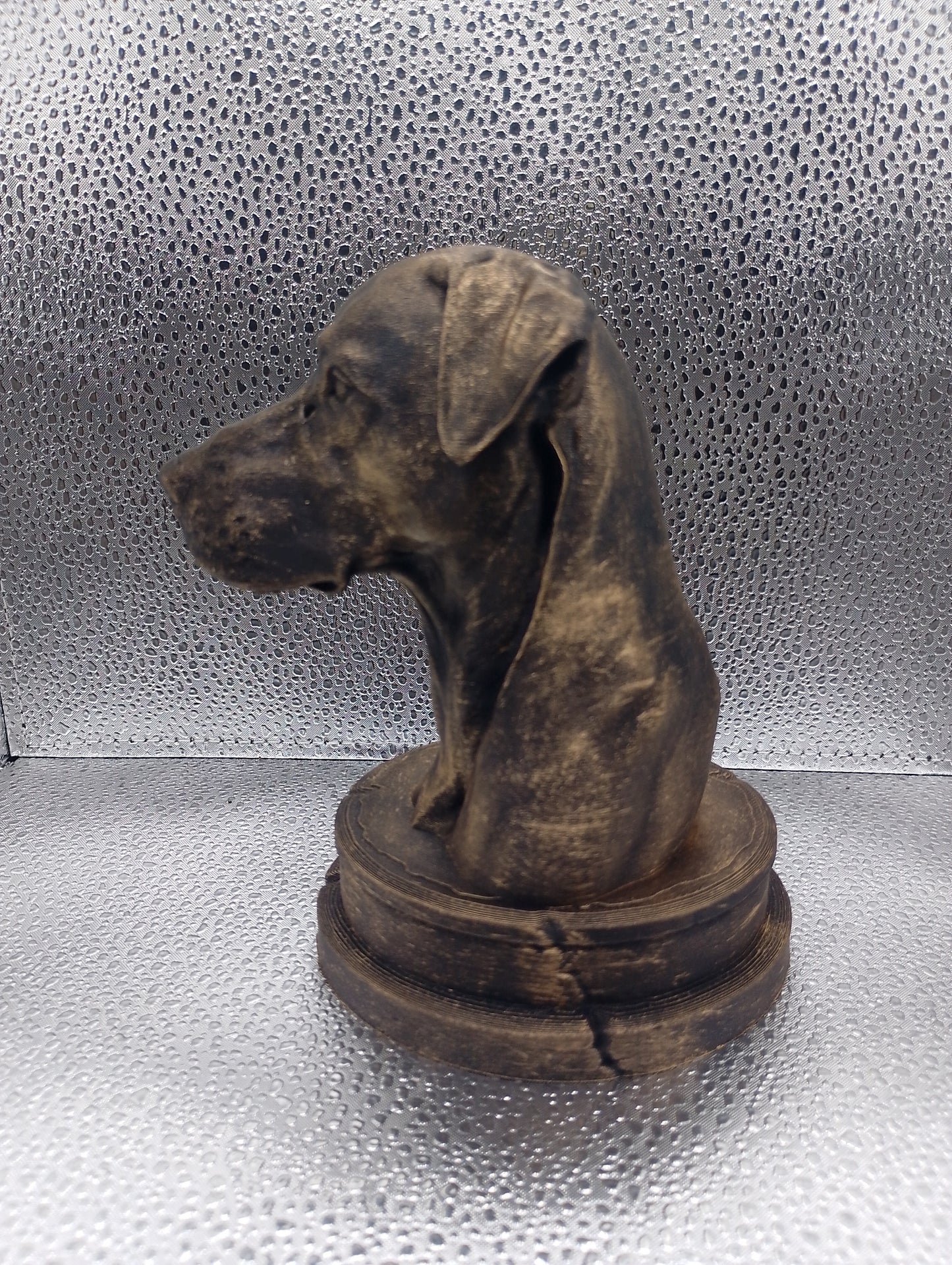 Blue Lacy Dog Bust