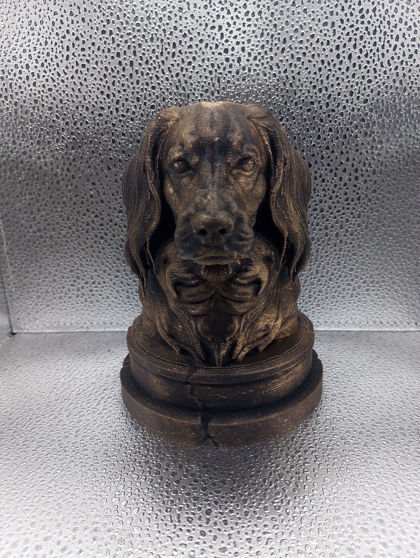 Kooikerhondje Bust