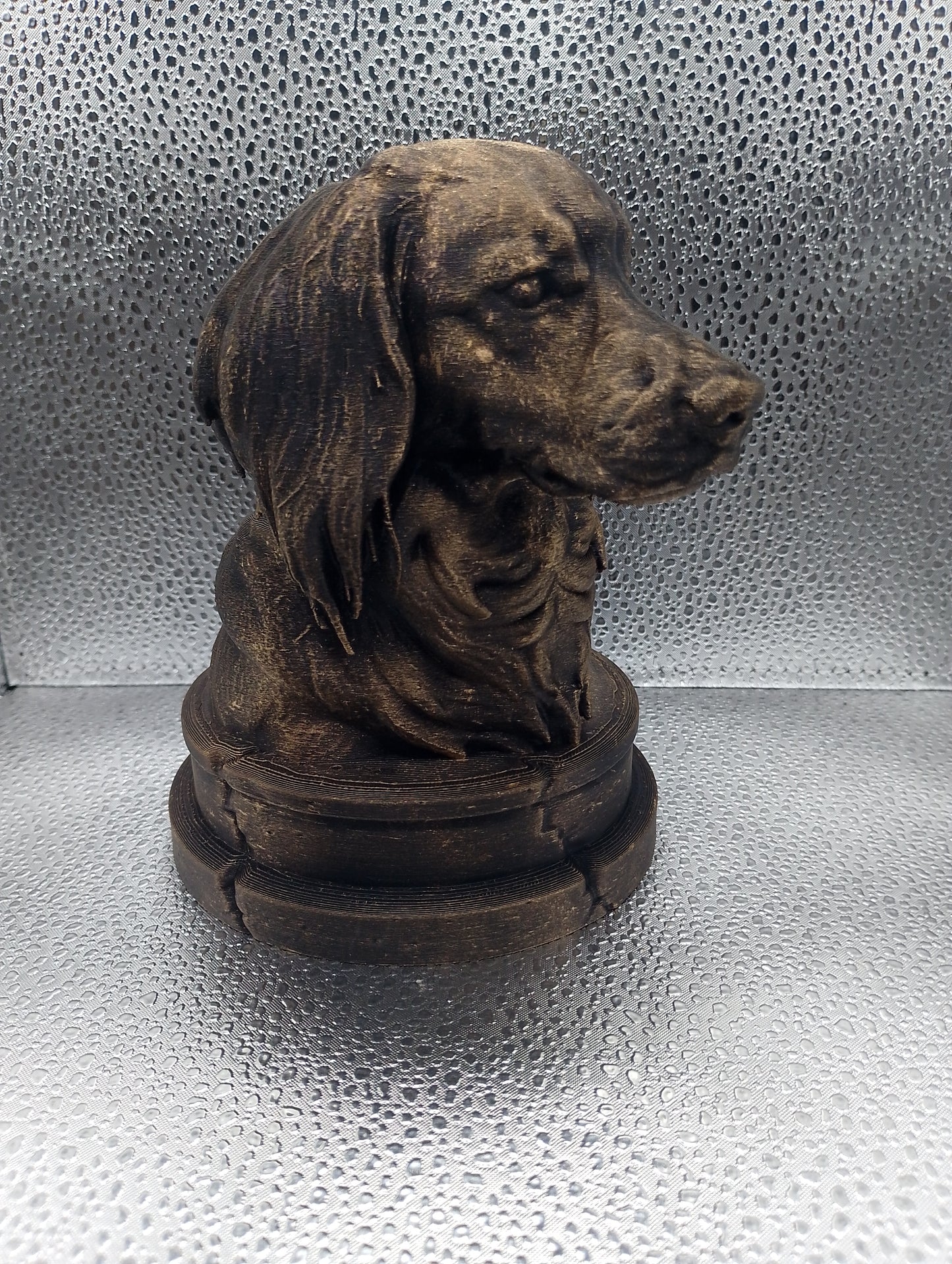 Kooikerhondje Bust