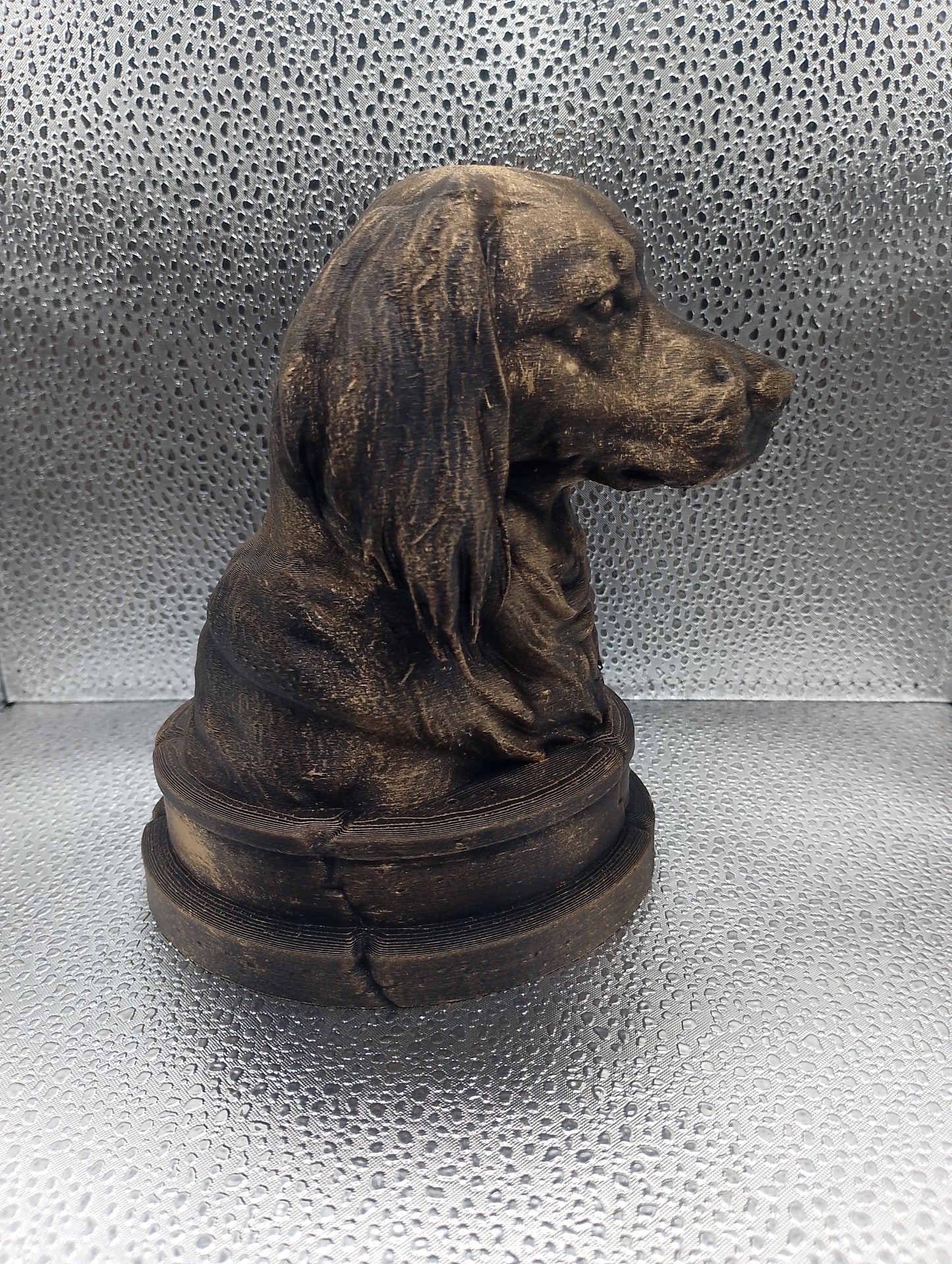 Kooikerhondje Bust