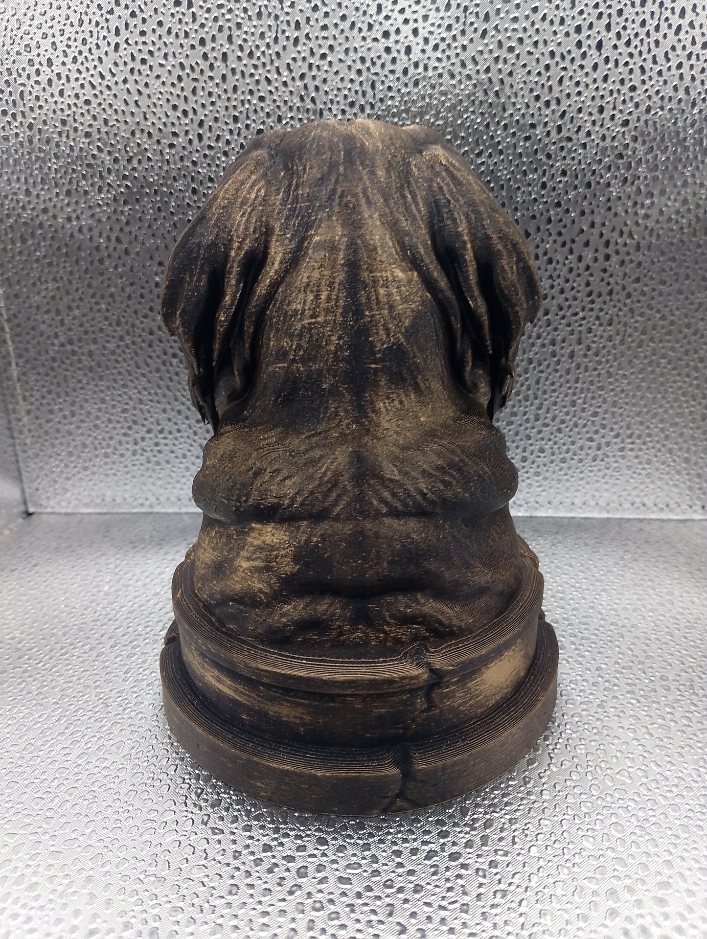 Kooikerhondje Bust