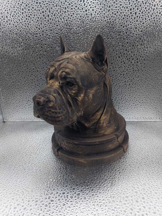 Chongqing Dog Bust