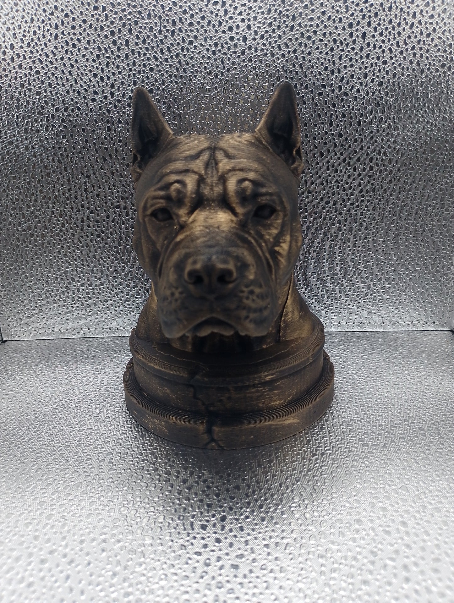 Chongqing Dog Bust