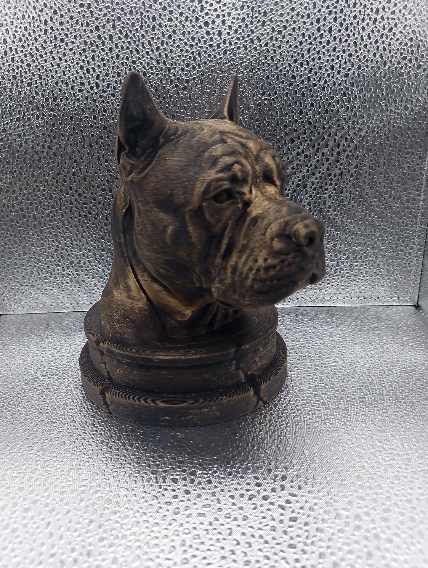 Chongqing Dog Bust