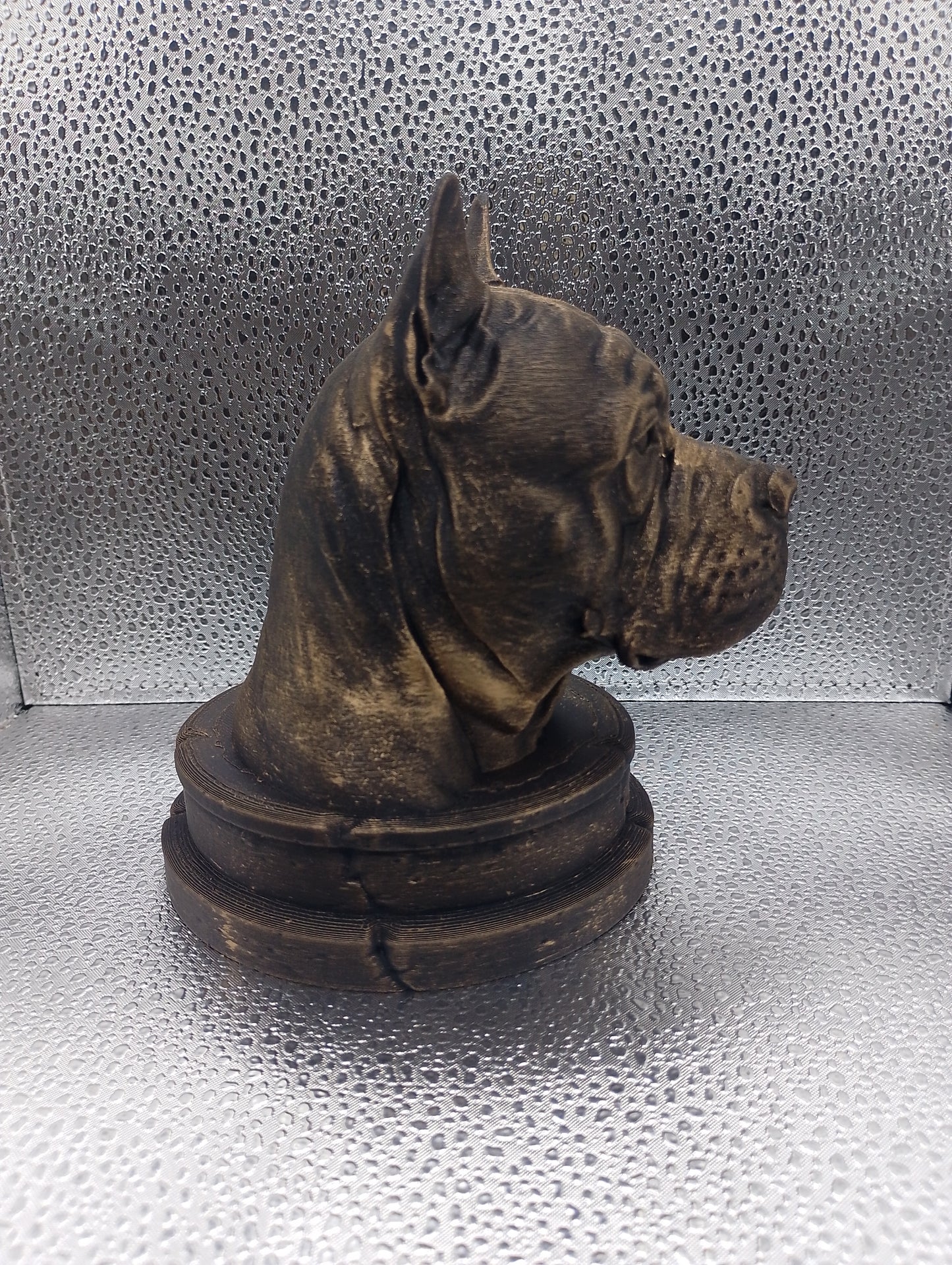 Chongqing Dog Bust
