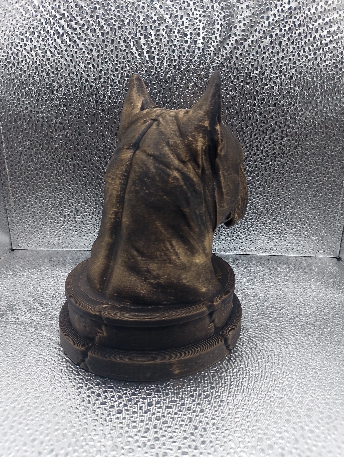 Chongqing Dog Bust