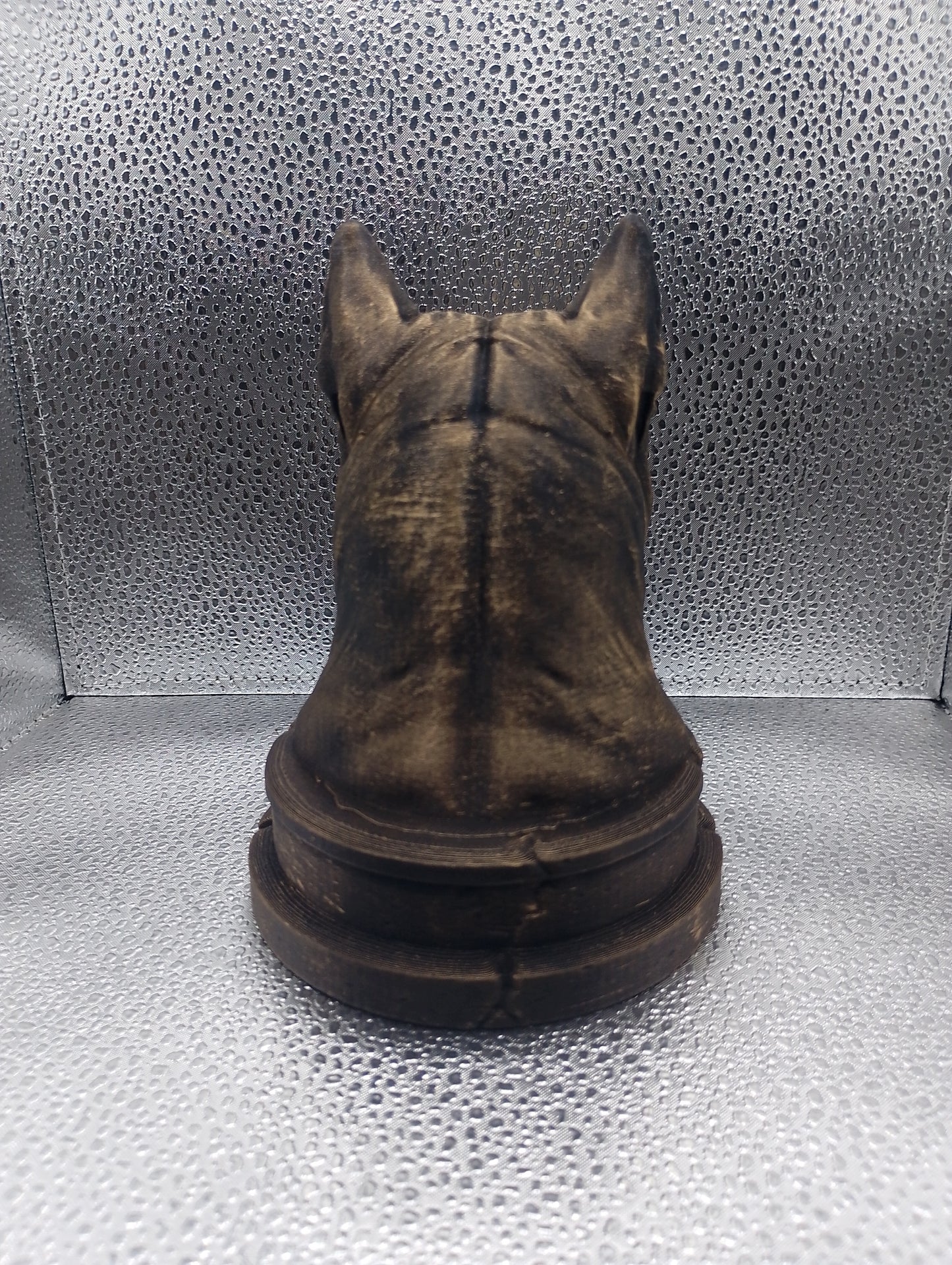 Chongqing Dog Bust