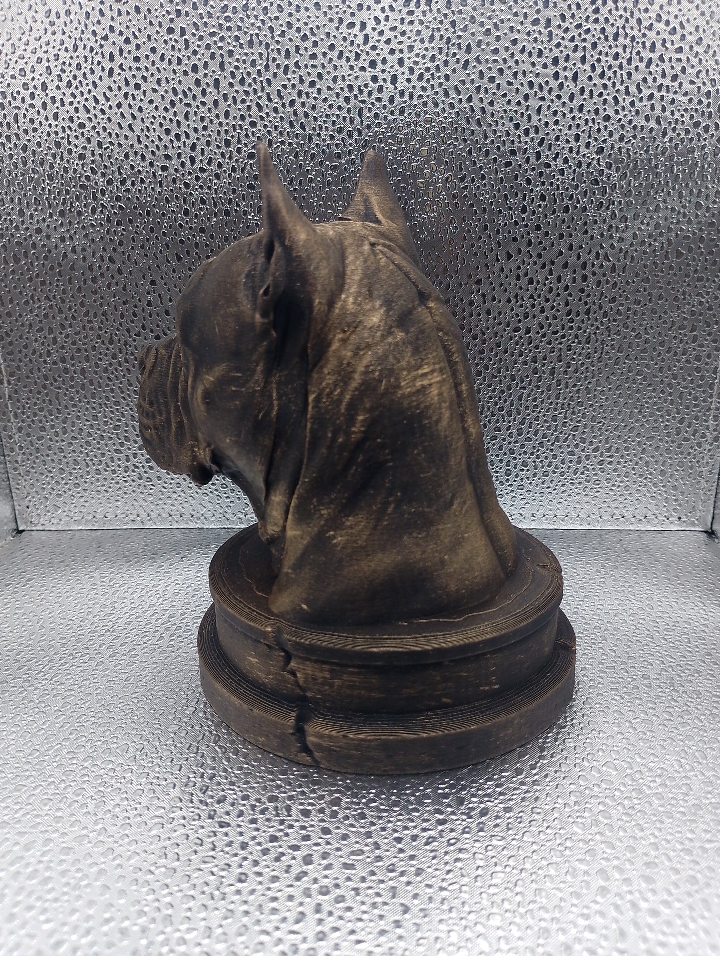 Chongqing Dog Bust