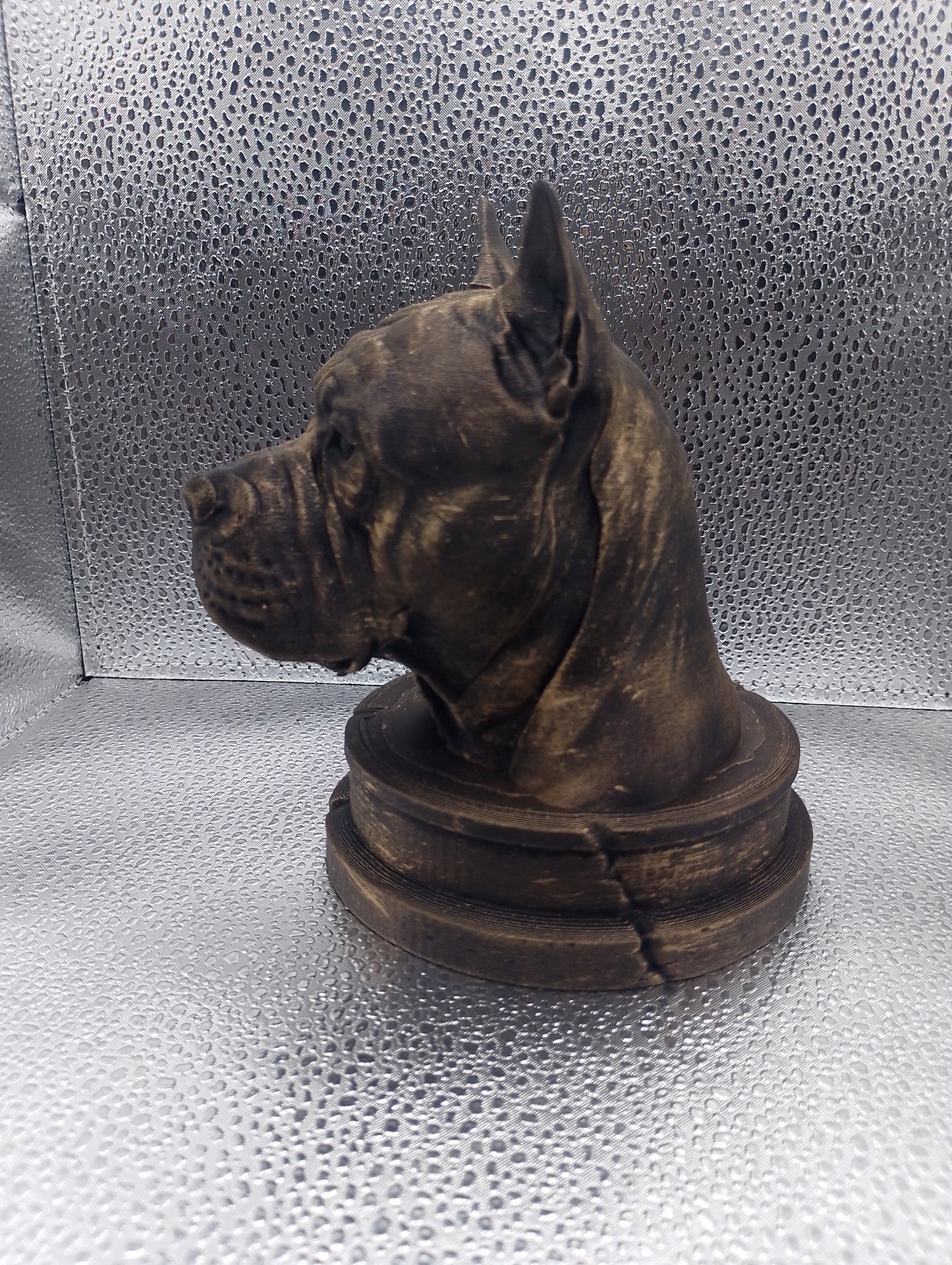 Chongqing Dog Bust