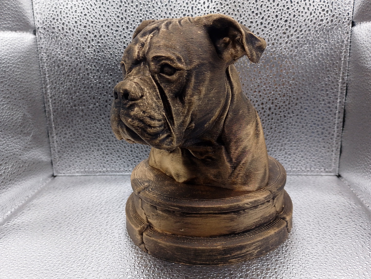 American Bulldog Bust