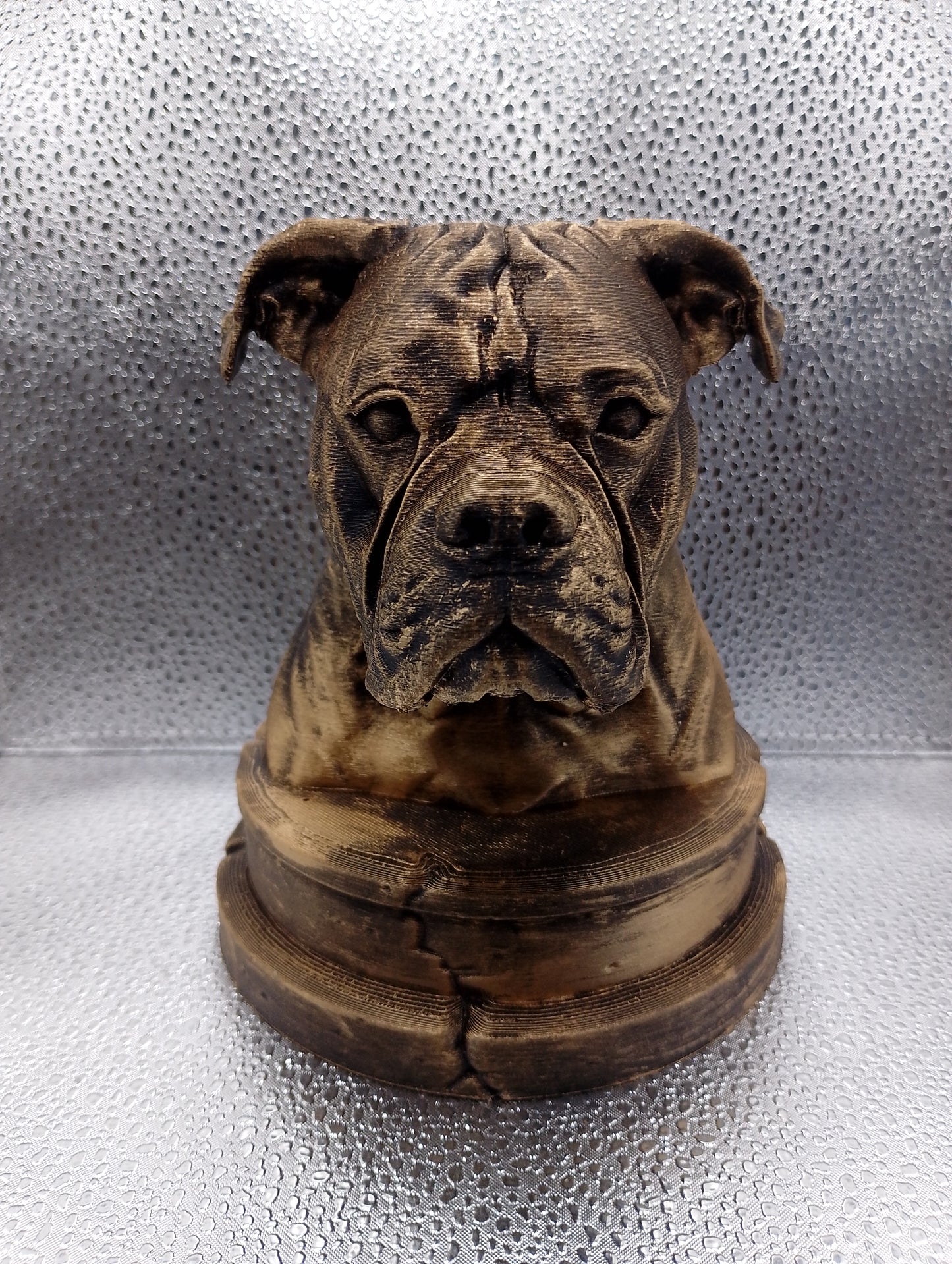 American Bulldog Bust