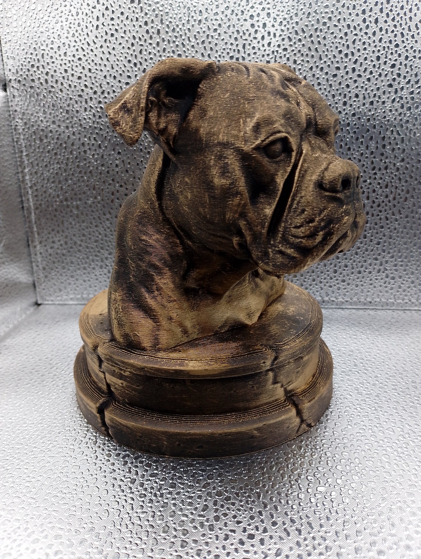American Bulldog Bust