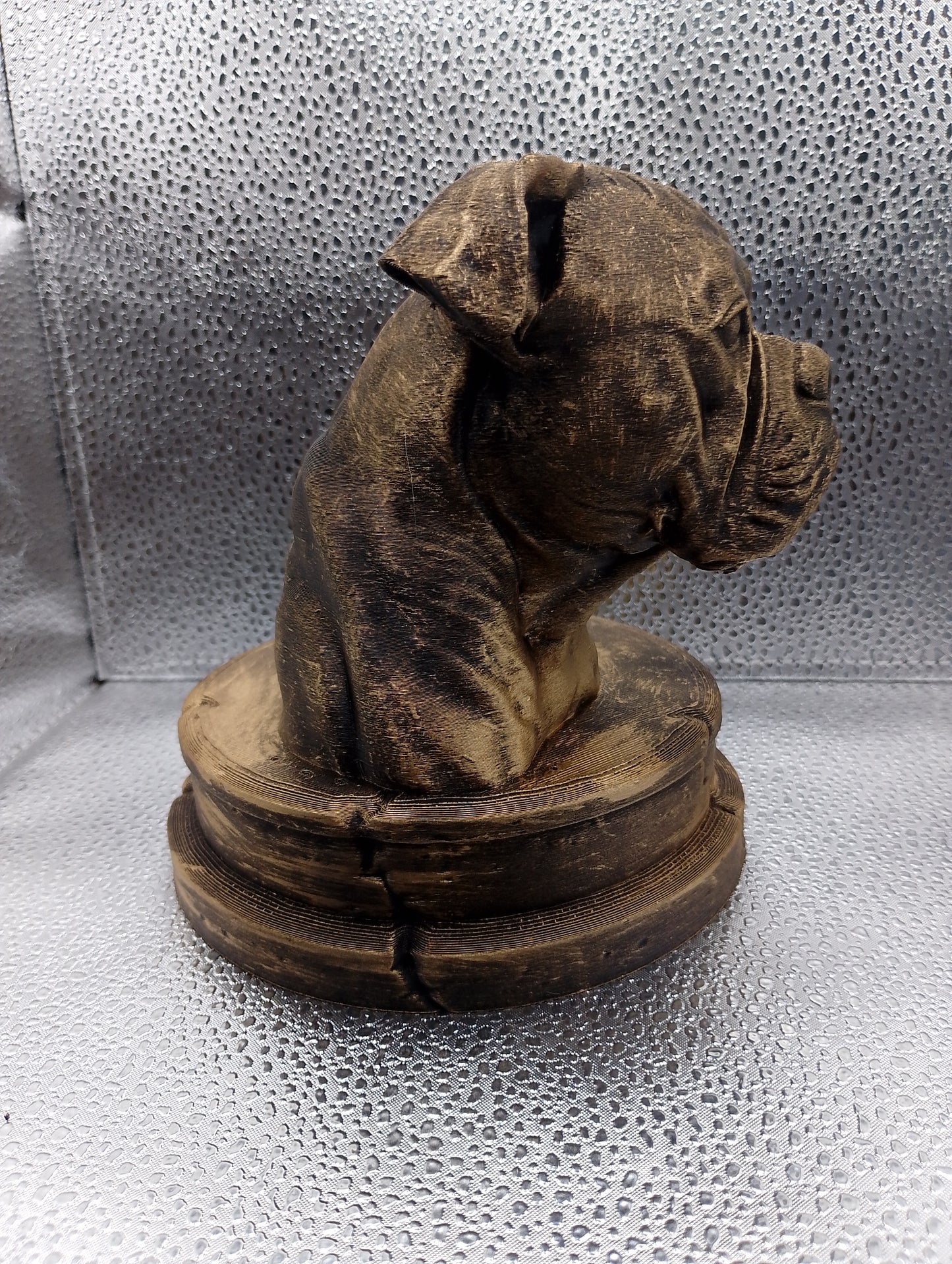 American Bulldog Bust