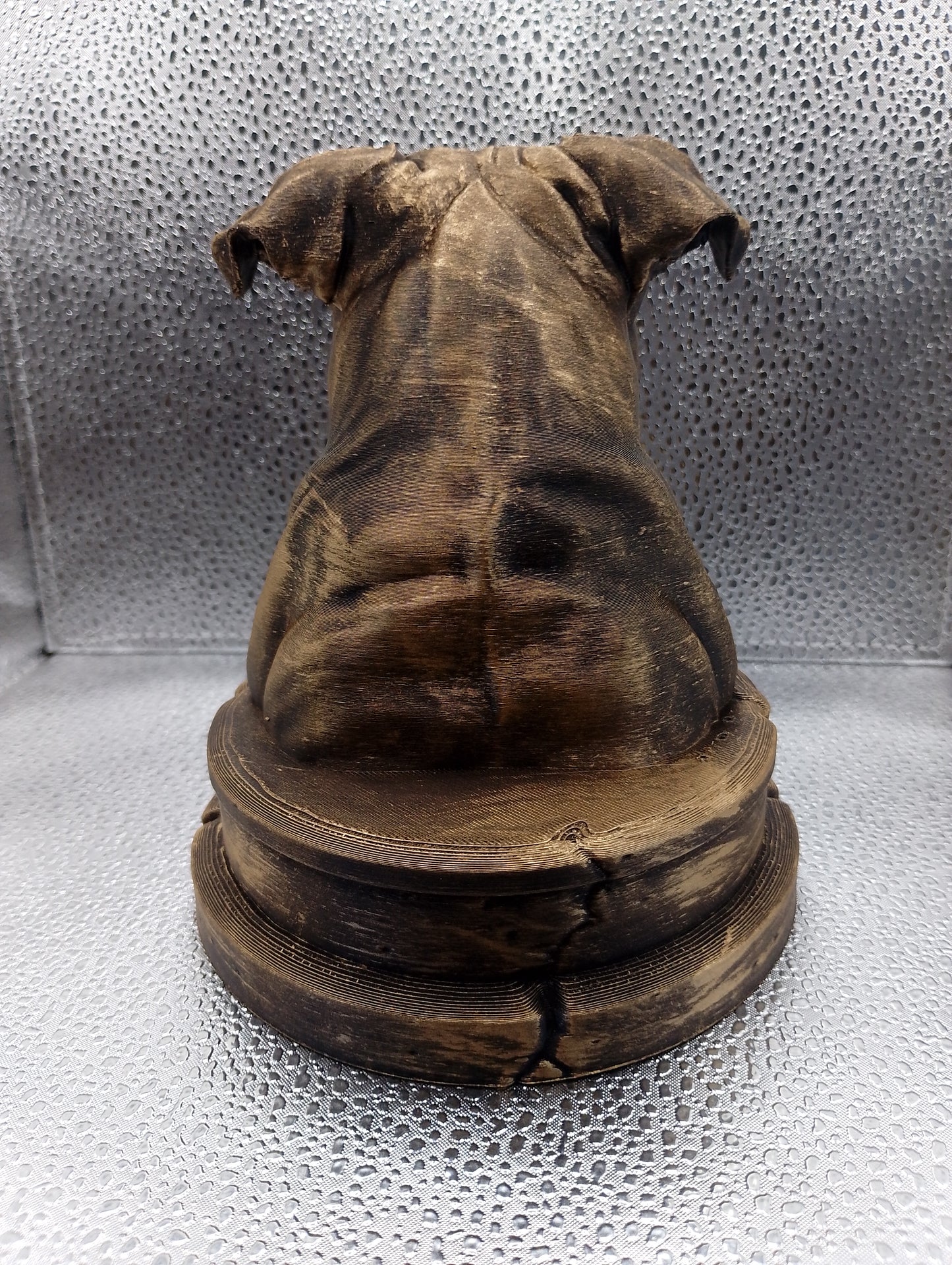 American Bulldog Bust