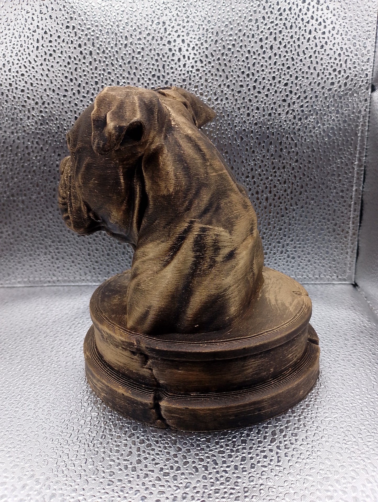 American Bulldog Bust
